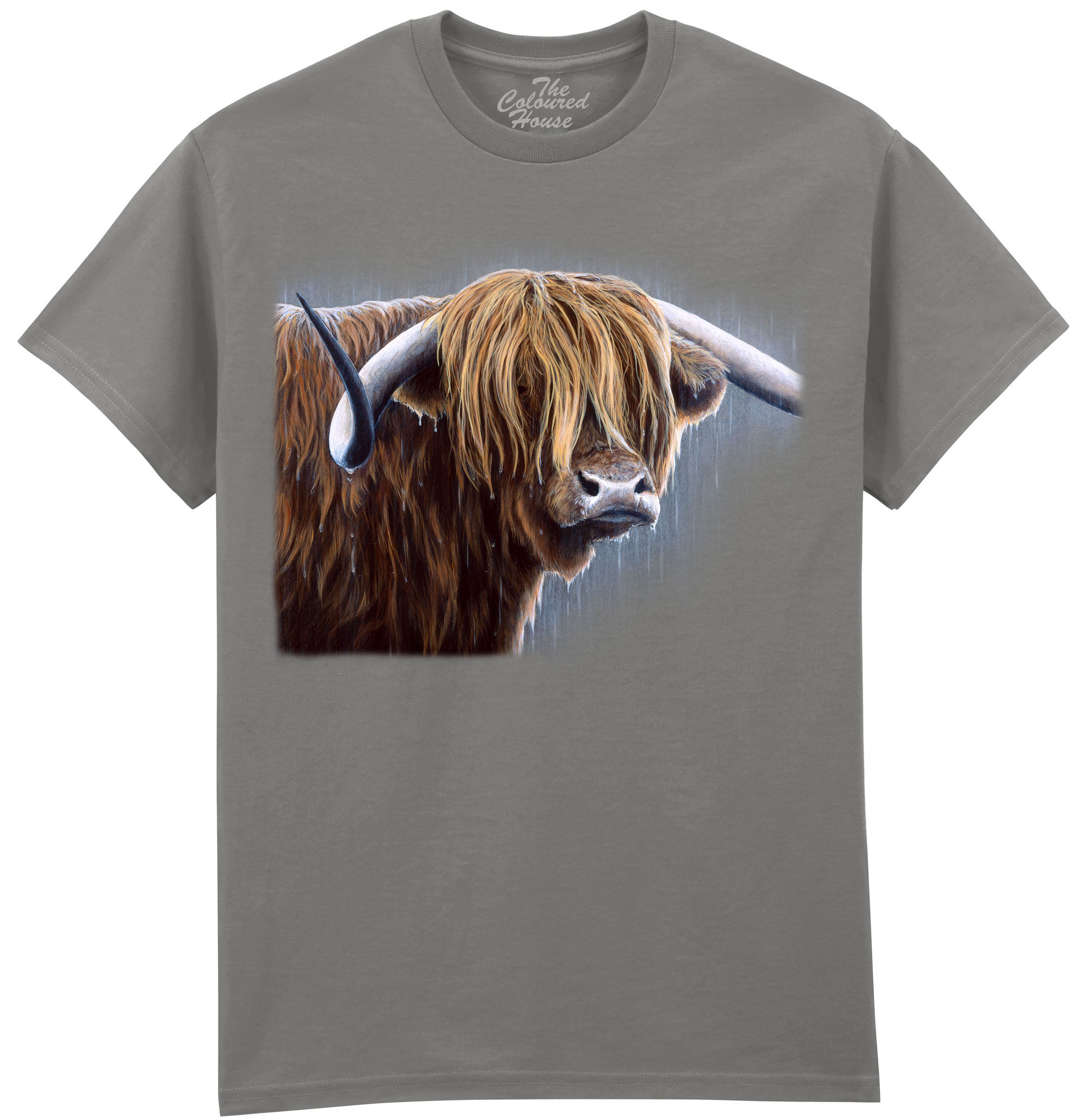 Highland Bull