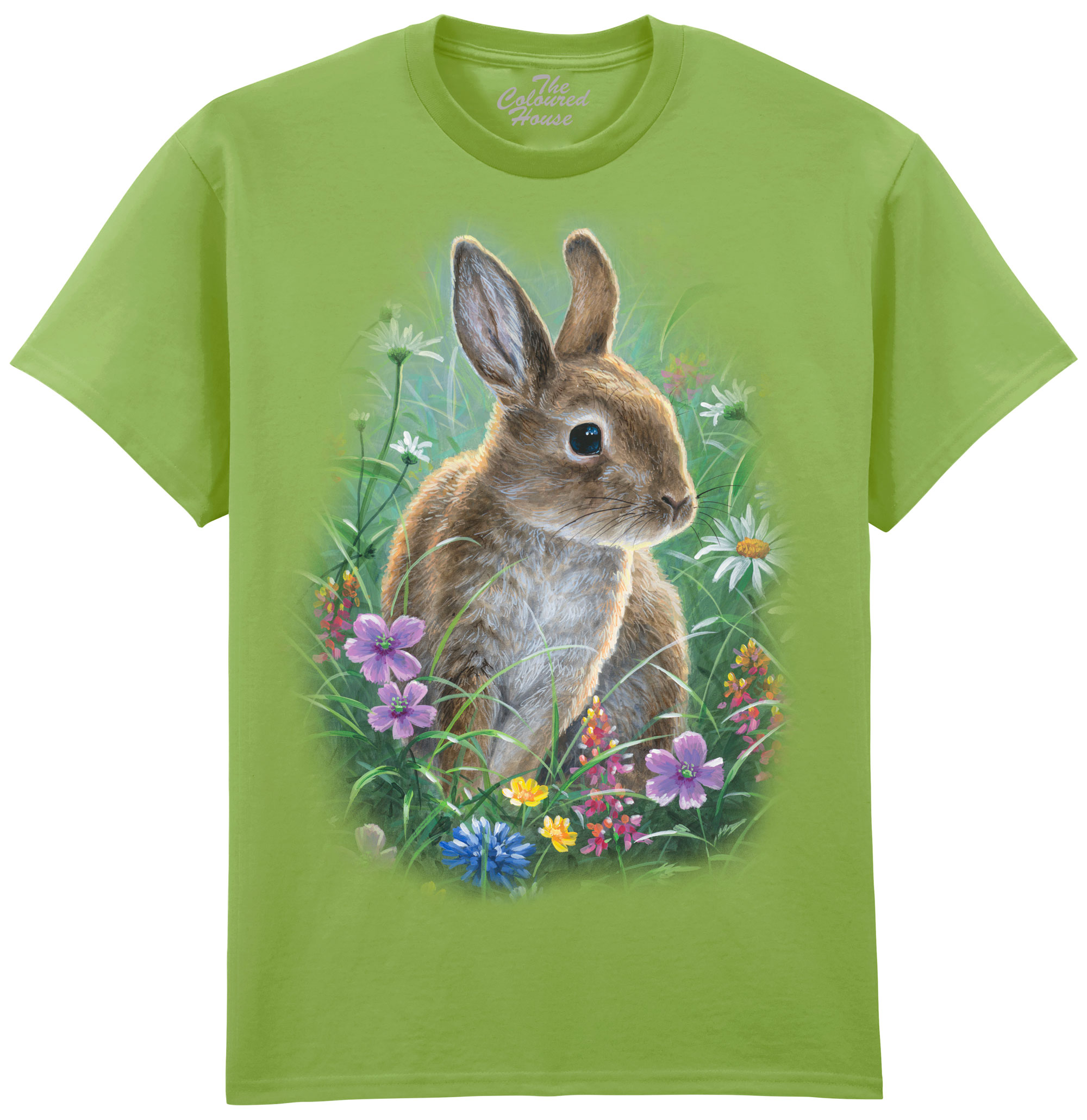 Spring Bunny