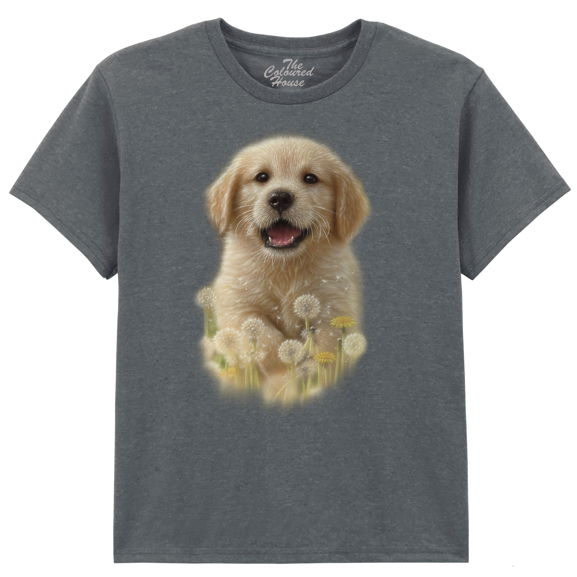 Dandelions - Golden Pup KIDS  