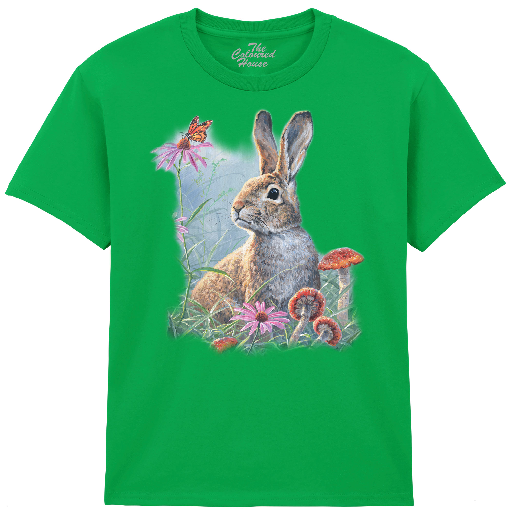 Curious Cottontail KIDS