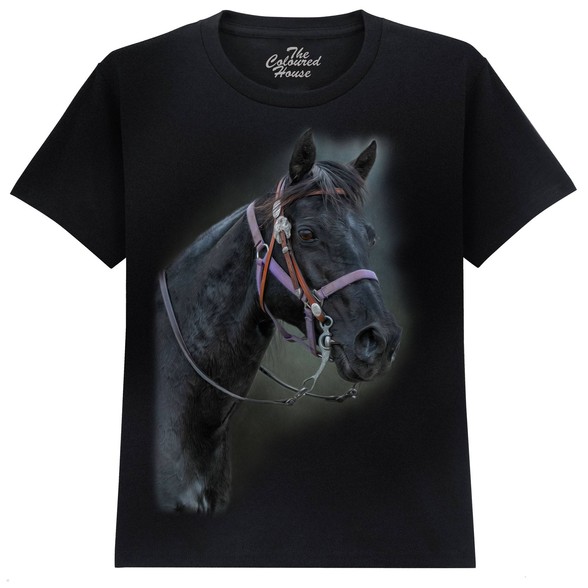 Pride Of The Pasture - Horse KIDS