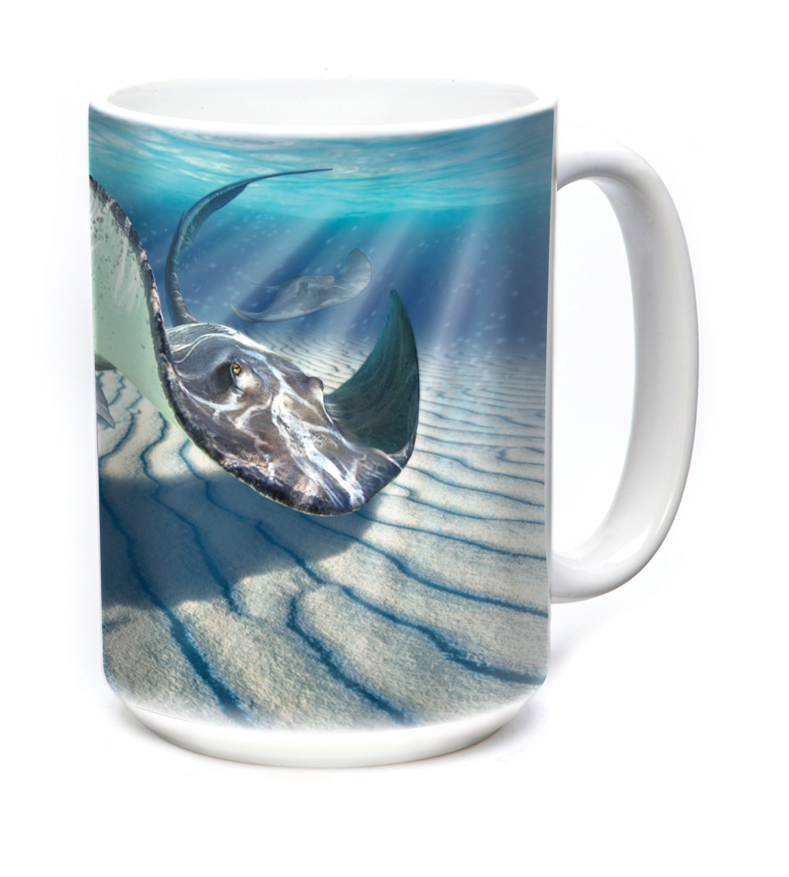 Becher Stingrays & Sunrays