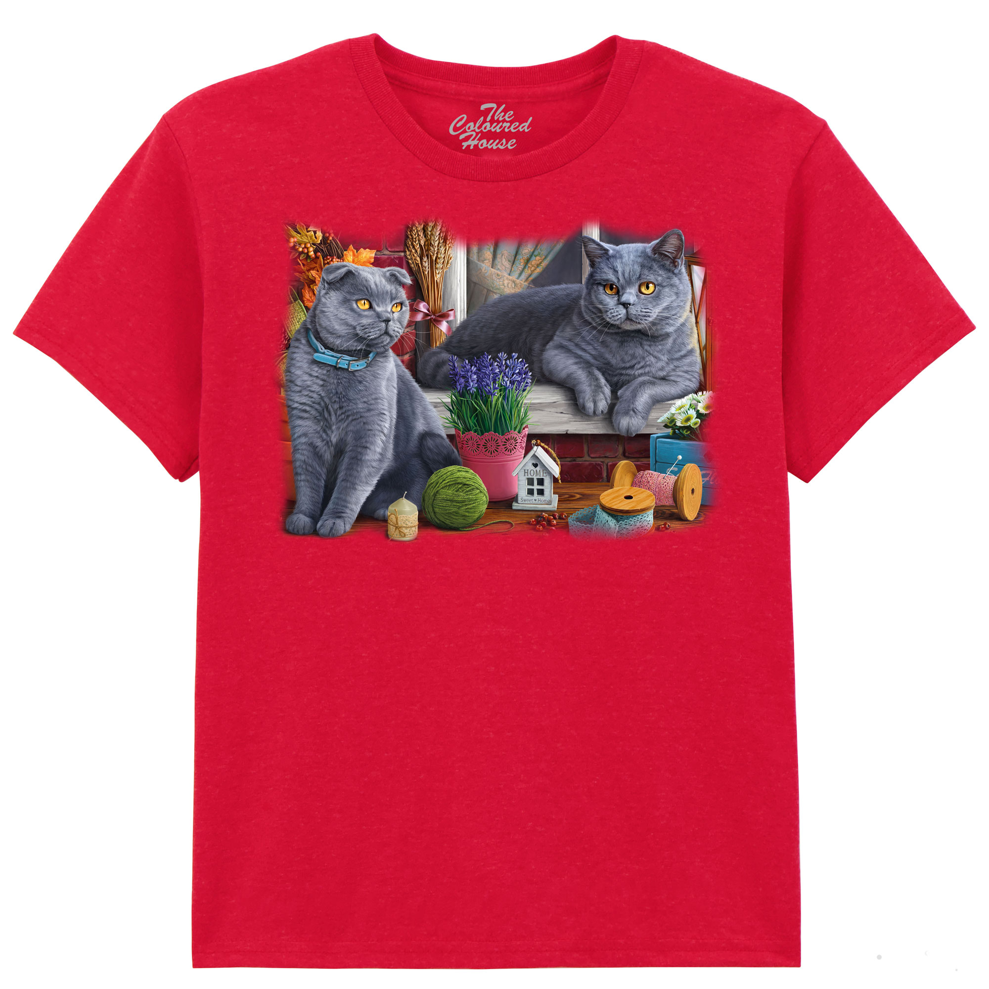 Brititsh Cats KIDS