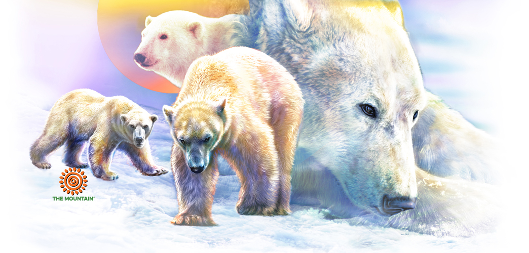 Becher Sunrise Polar Bear