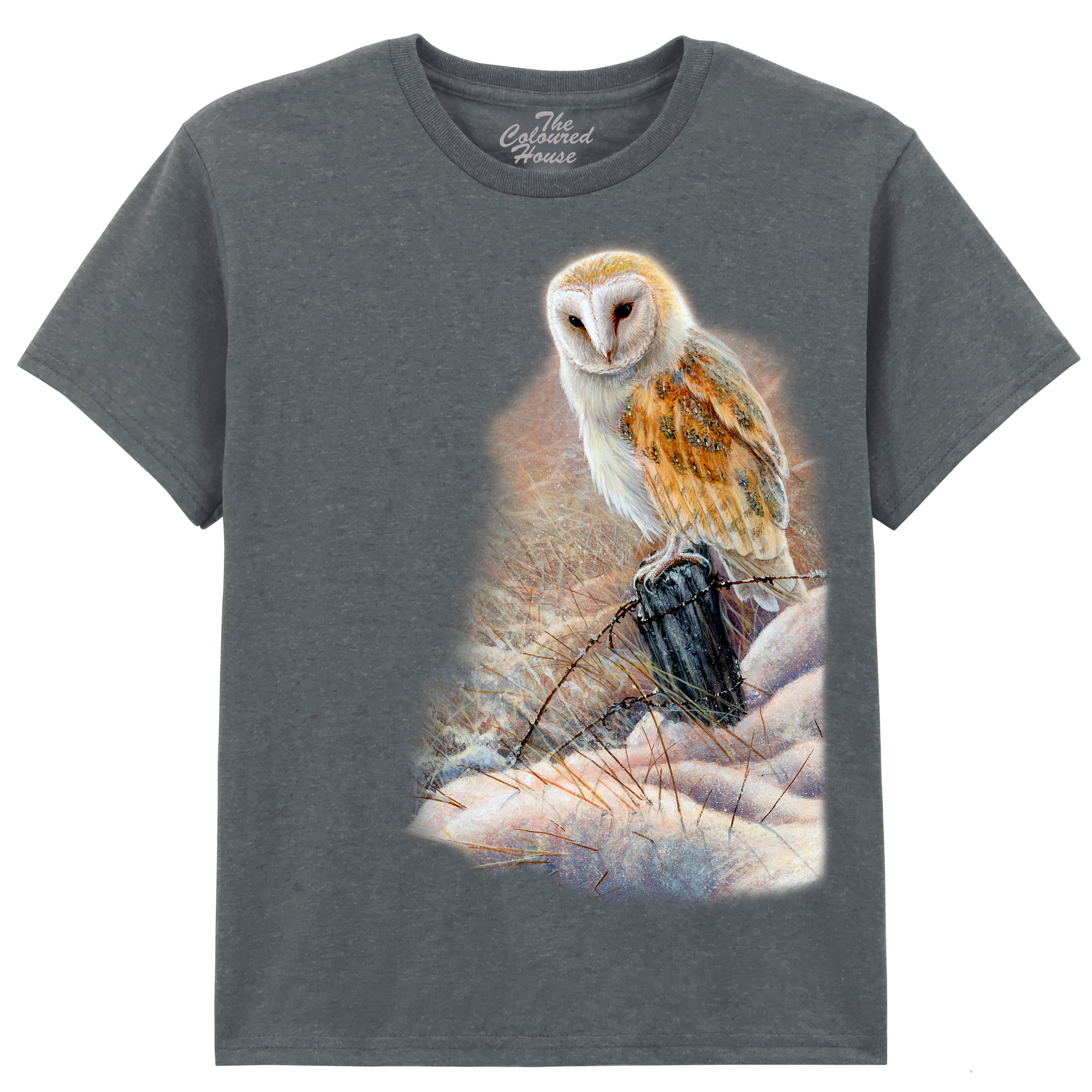 Winter Glow Barn Owl KIDS
