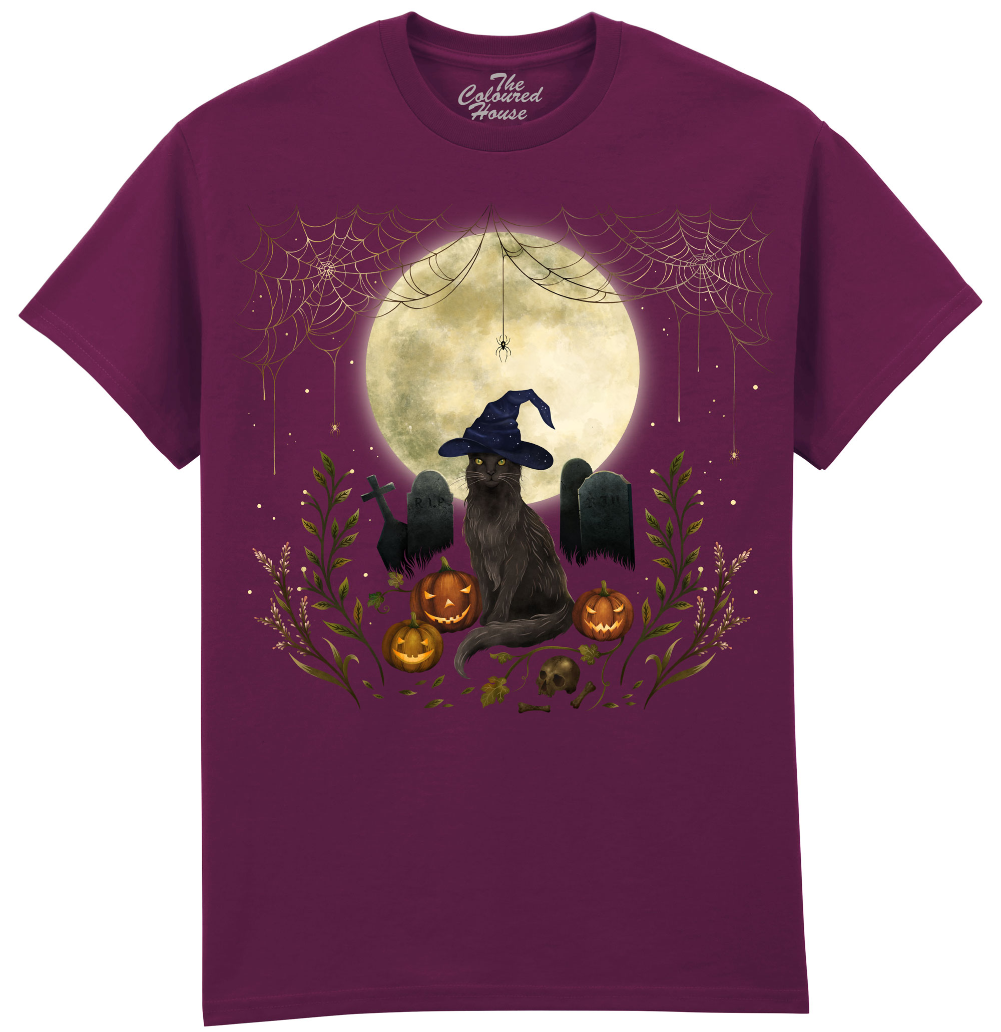 Halloween Cat
