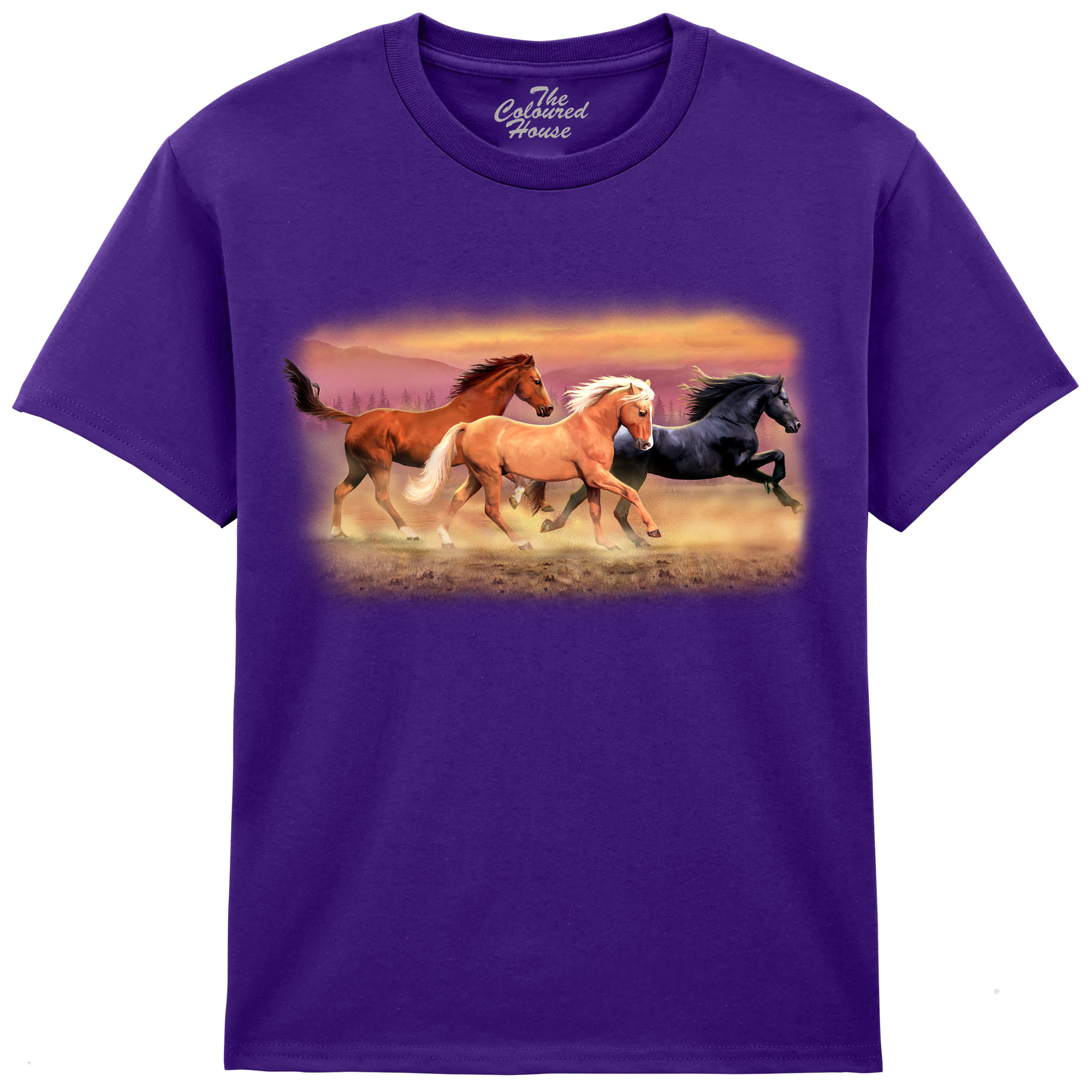 Running Free Horses KIDS