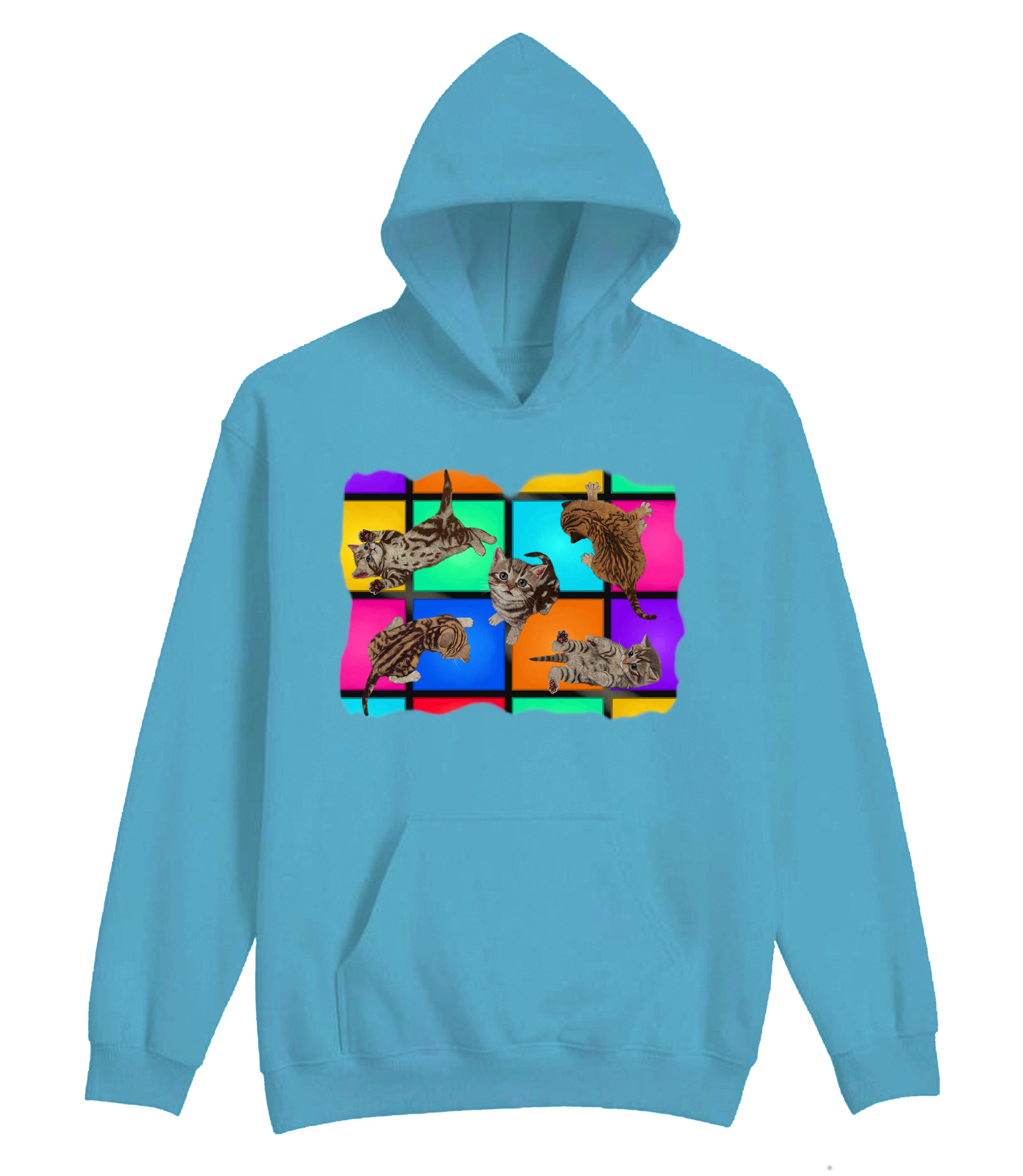 Disco Kittens Hoodie