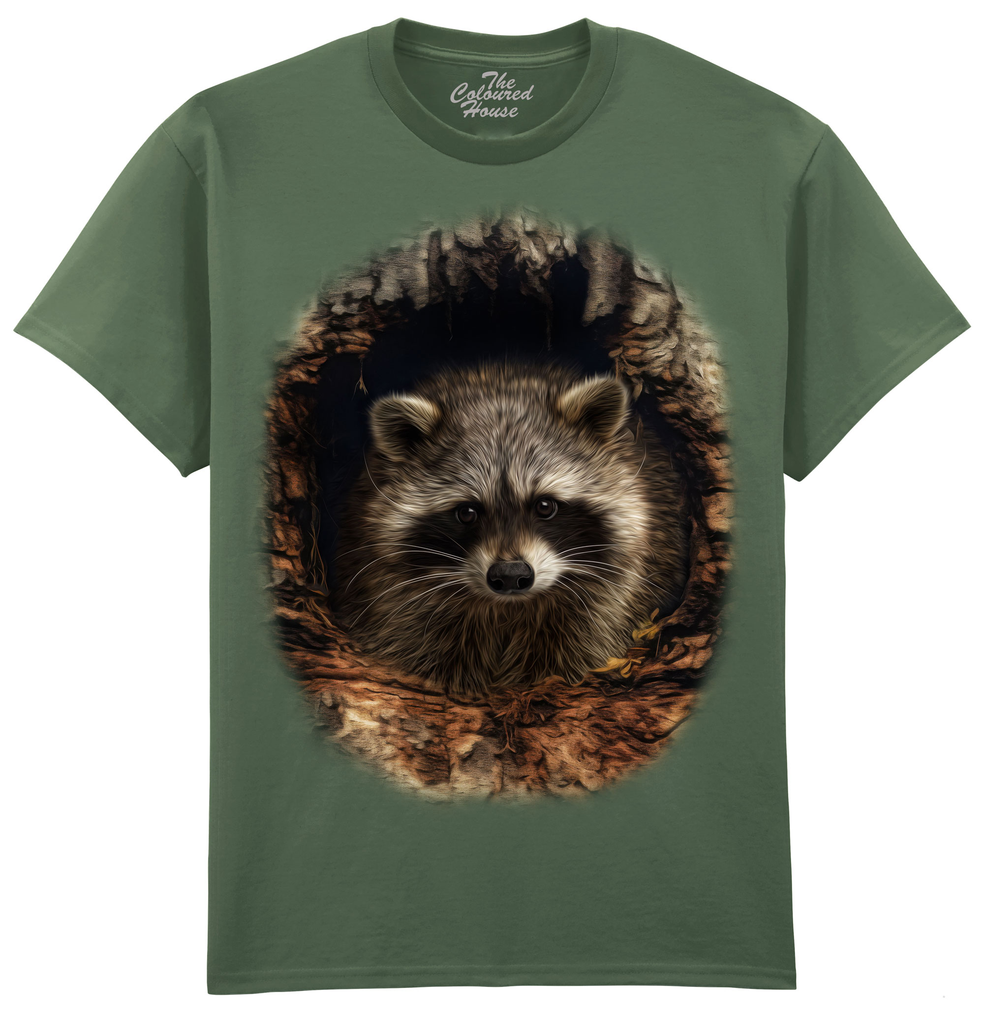 Through The Woodland Window - Racoon