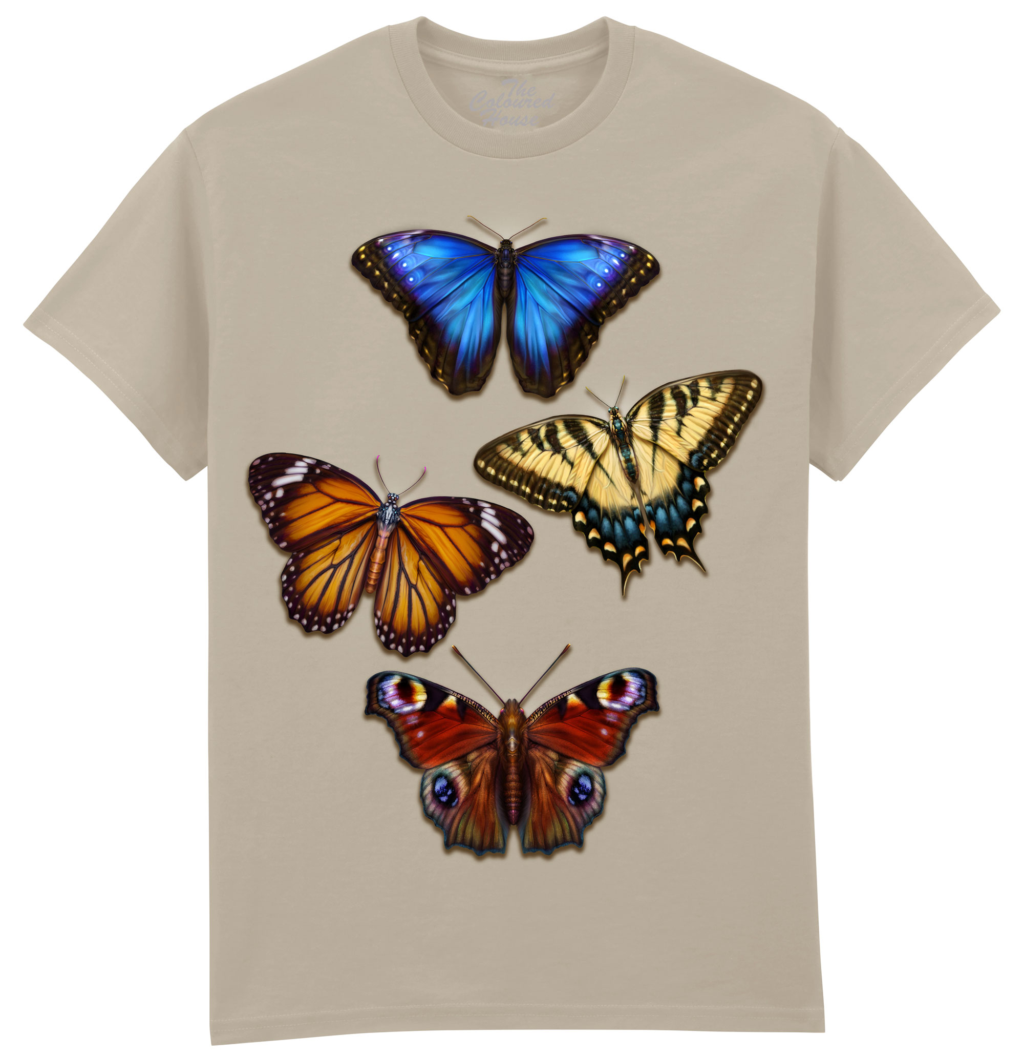 4 Butterflies