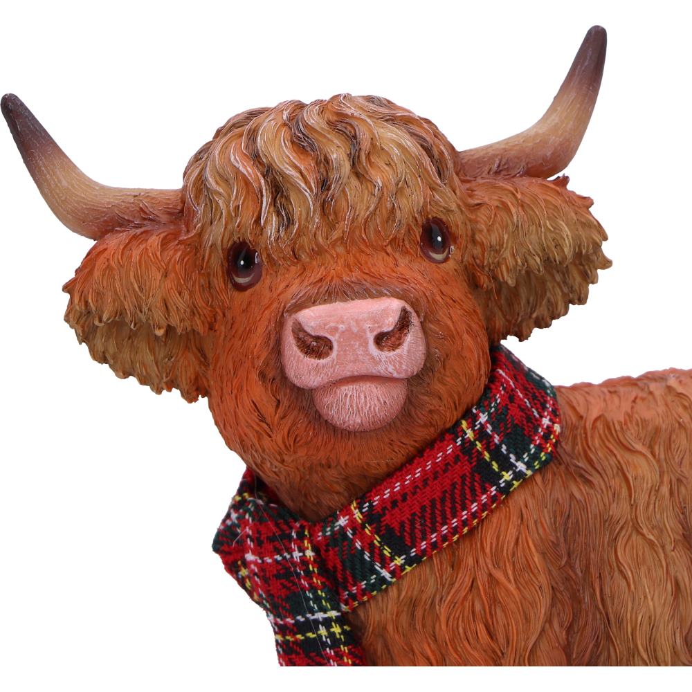 Highland Snug 12.2cm