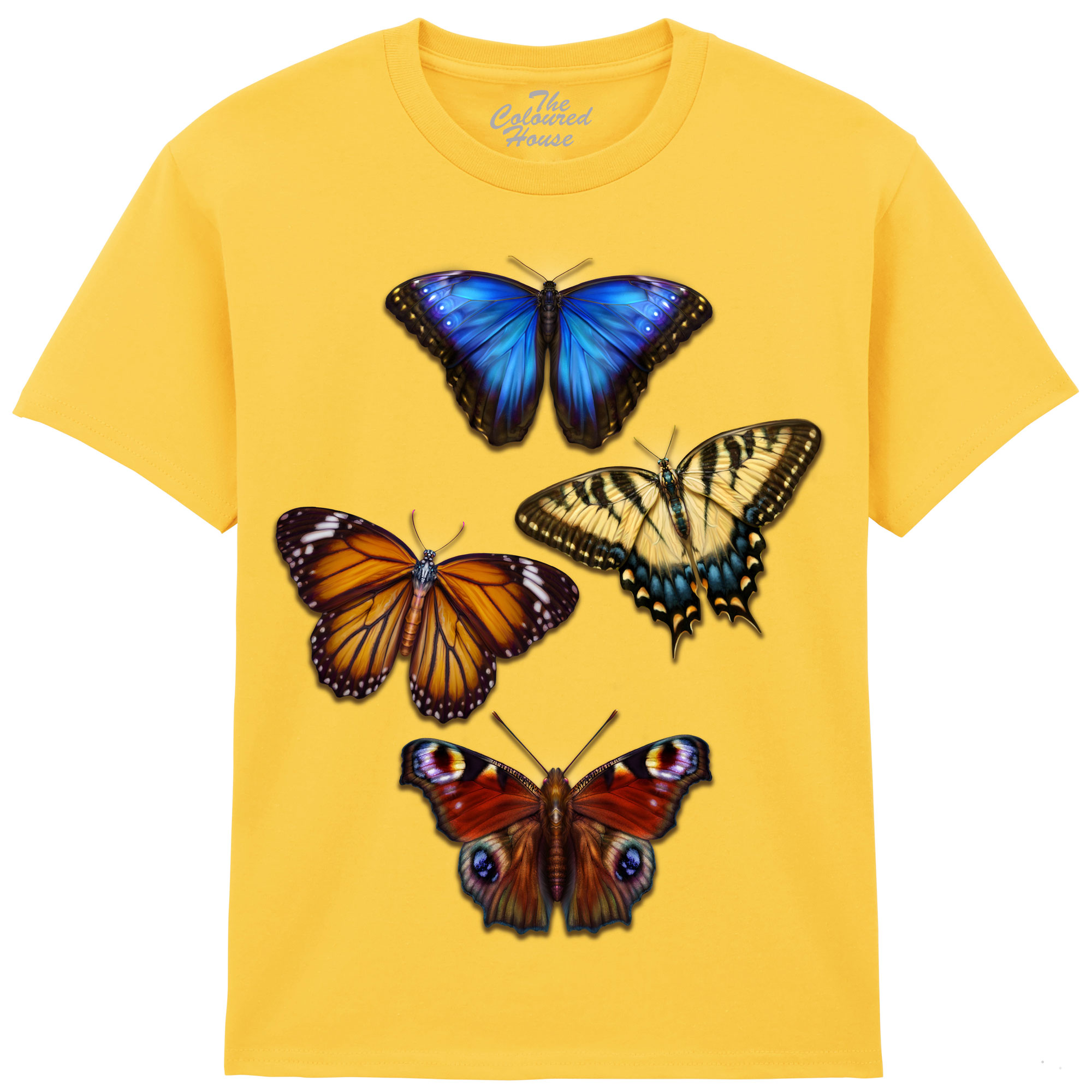 Butterflies 4 KIDS