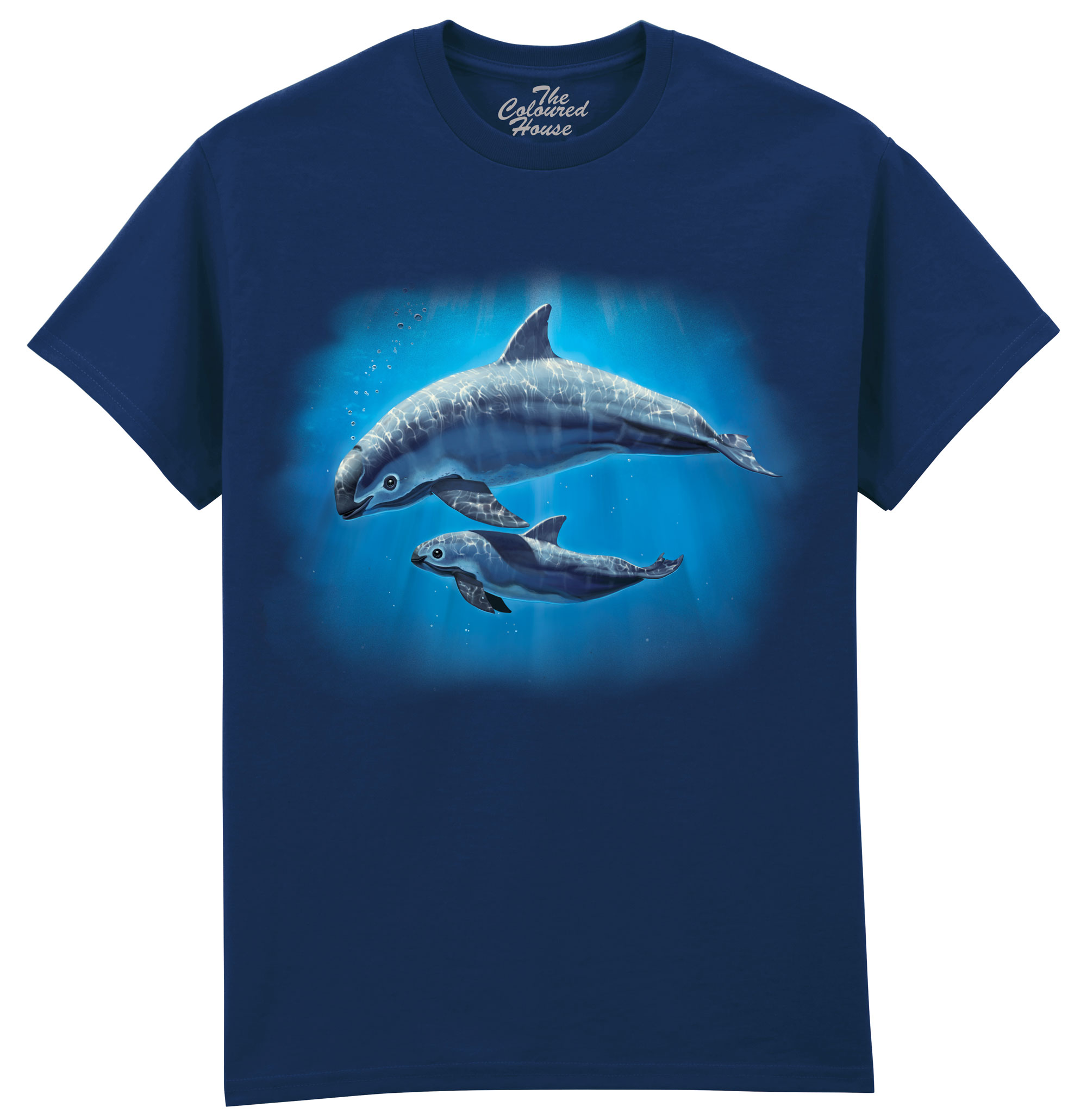 Vaquita