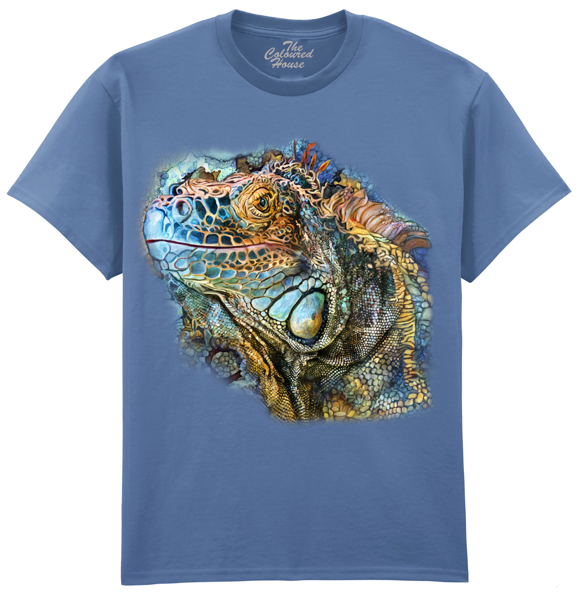 Iguana Spirit Of Contentment