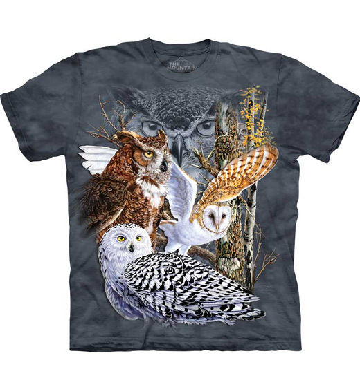 Find 11 Owls