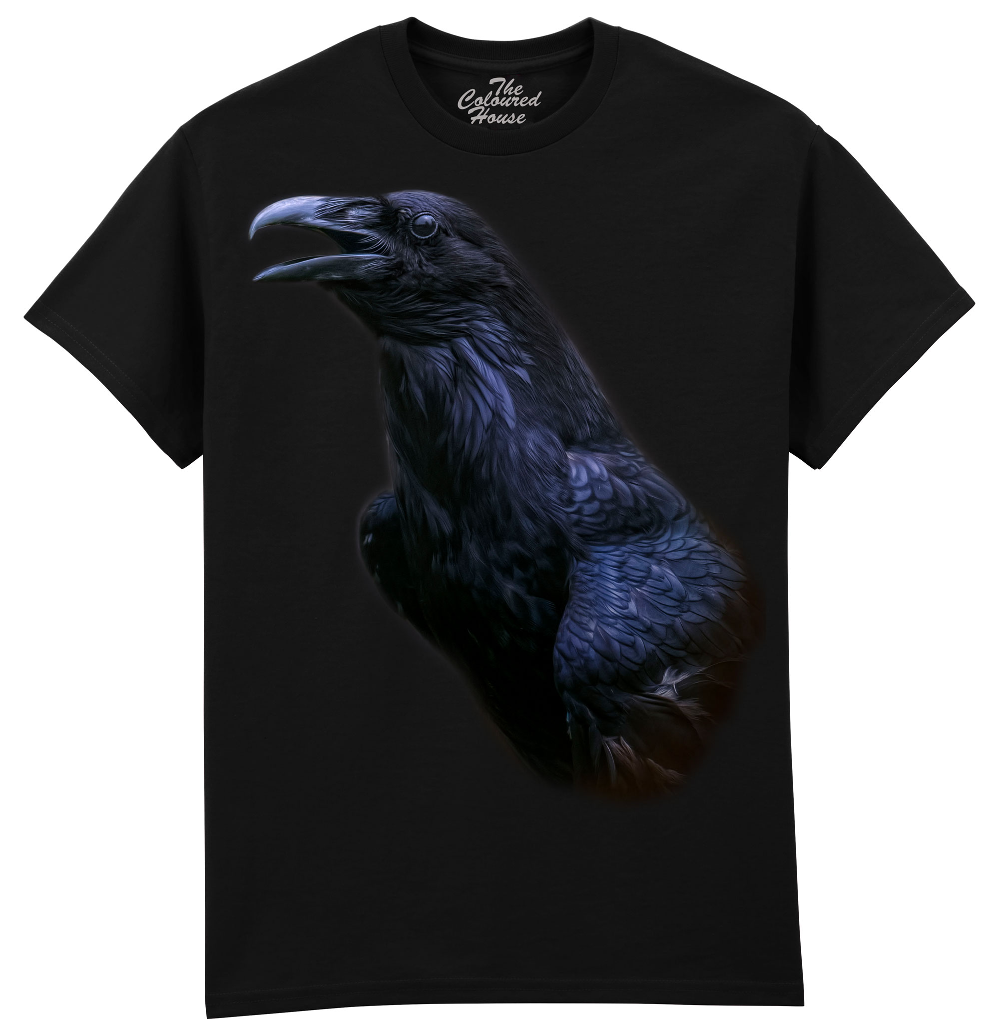 The Messenger - Raven