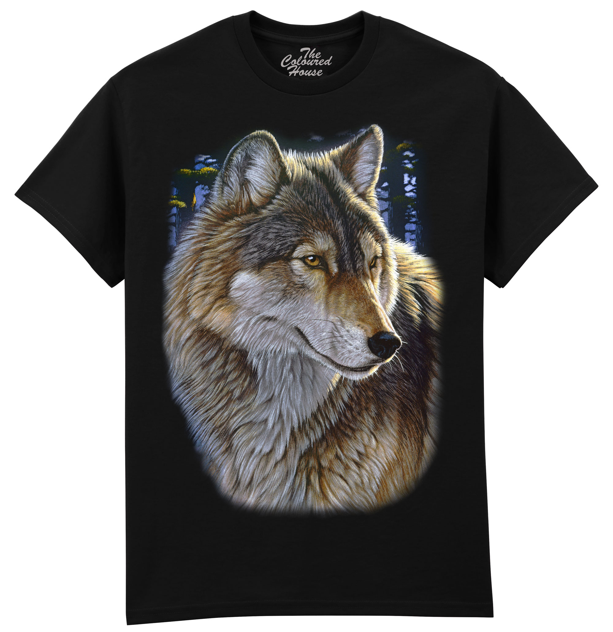 Evening Wolf Portrait