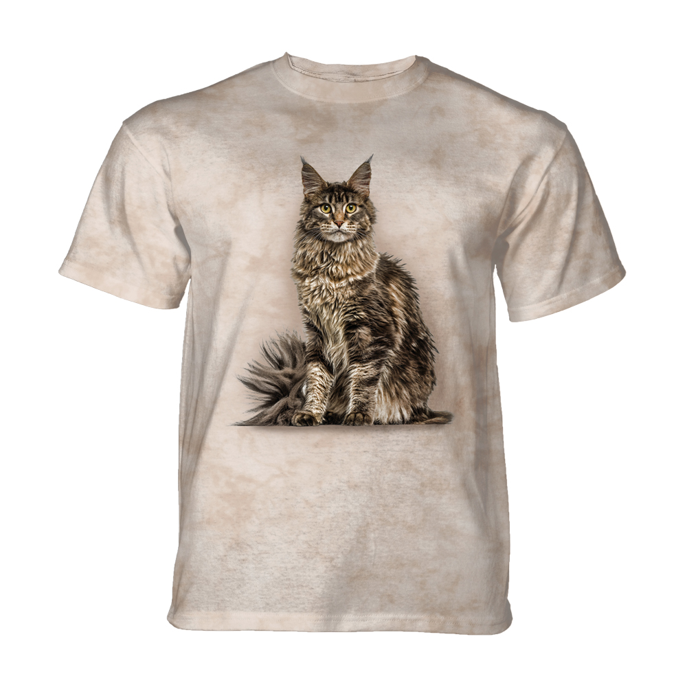 Maine Coon Cat KIDS