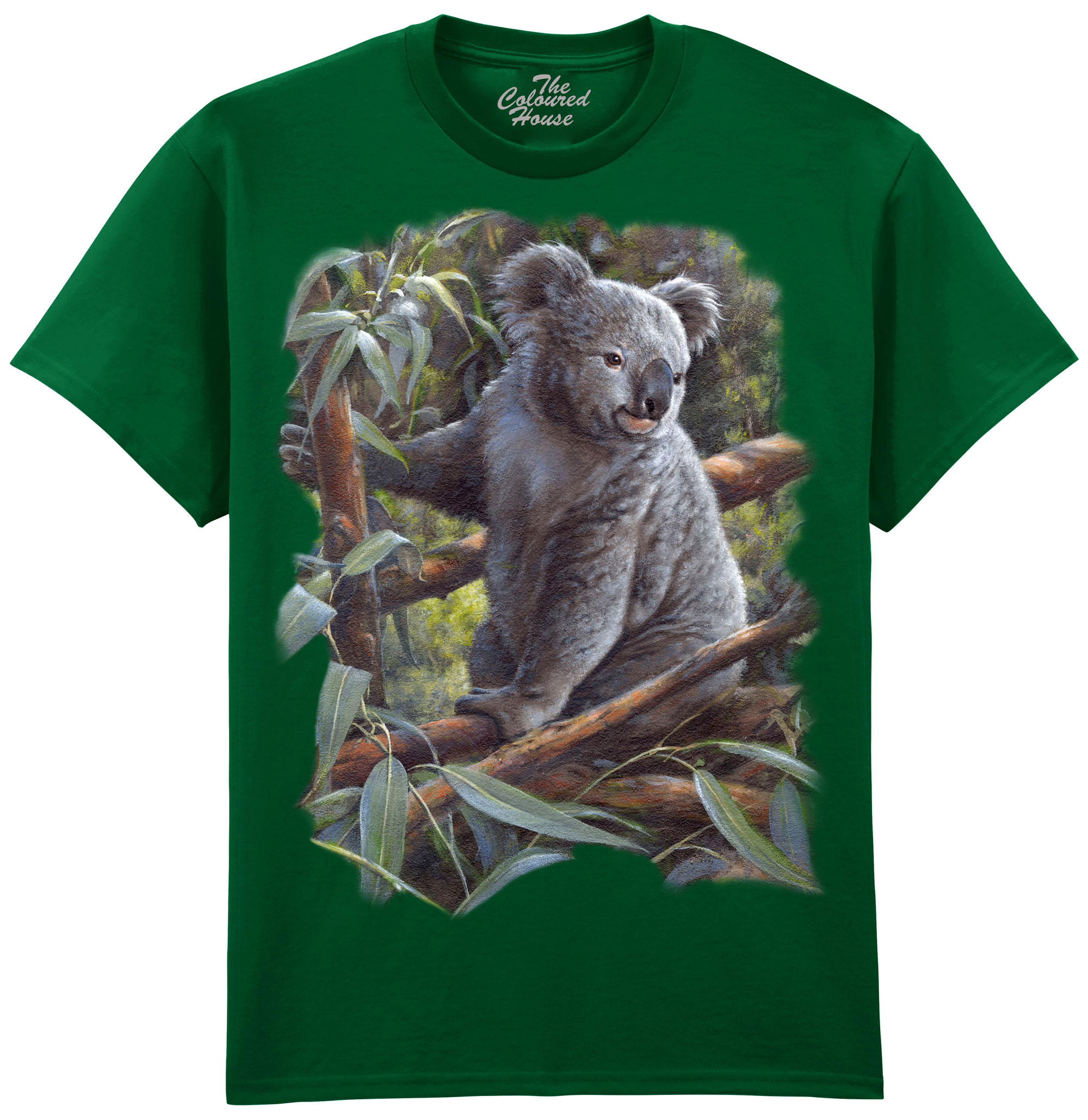 Koala Bear