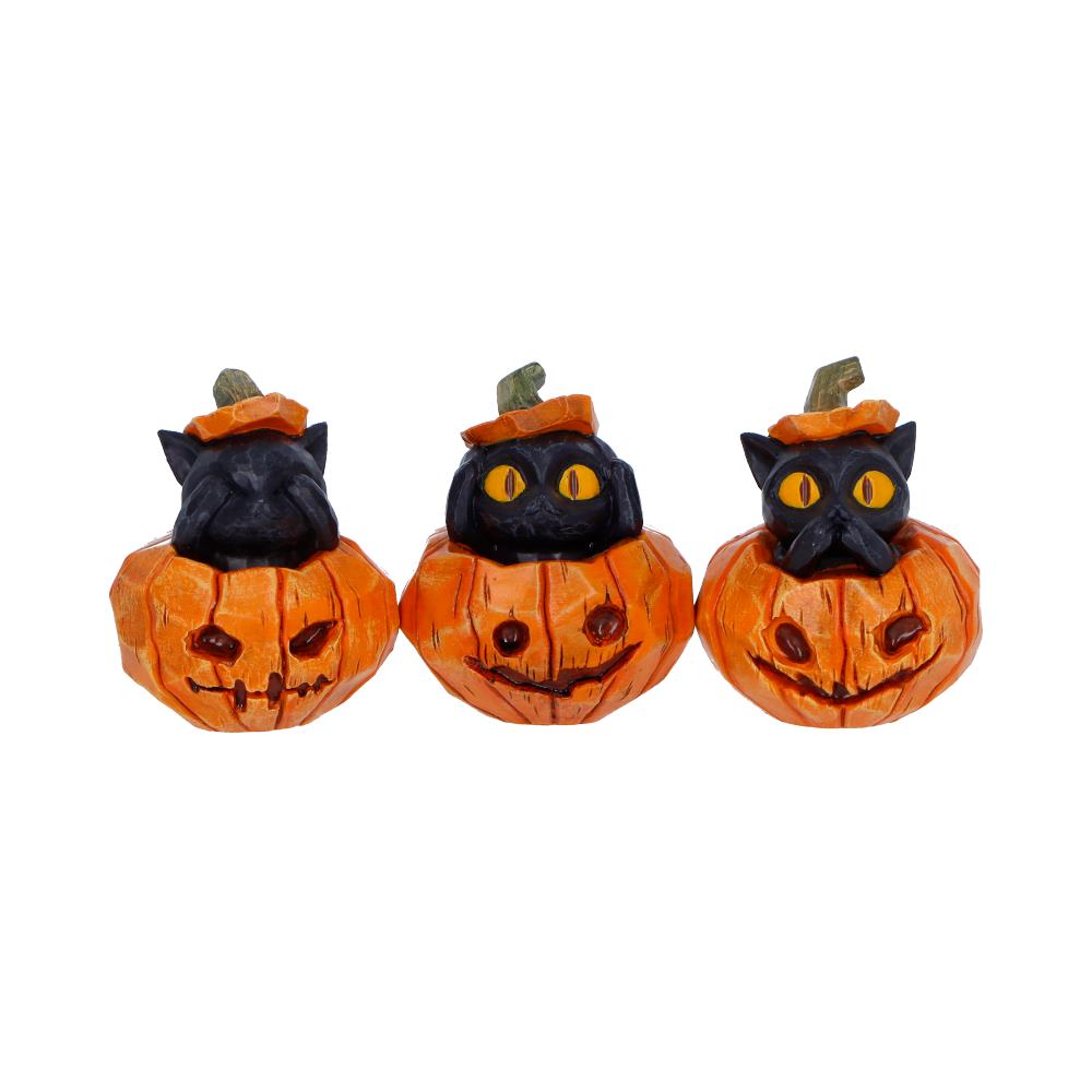 Three Wise Pumpkin Patch - Cats 7.7cm