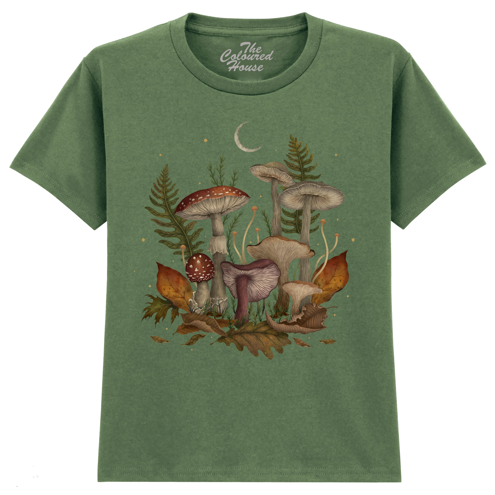 Autumn Mushrooms KIDS