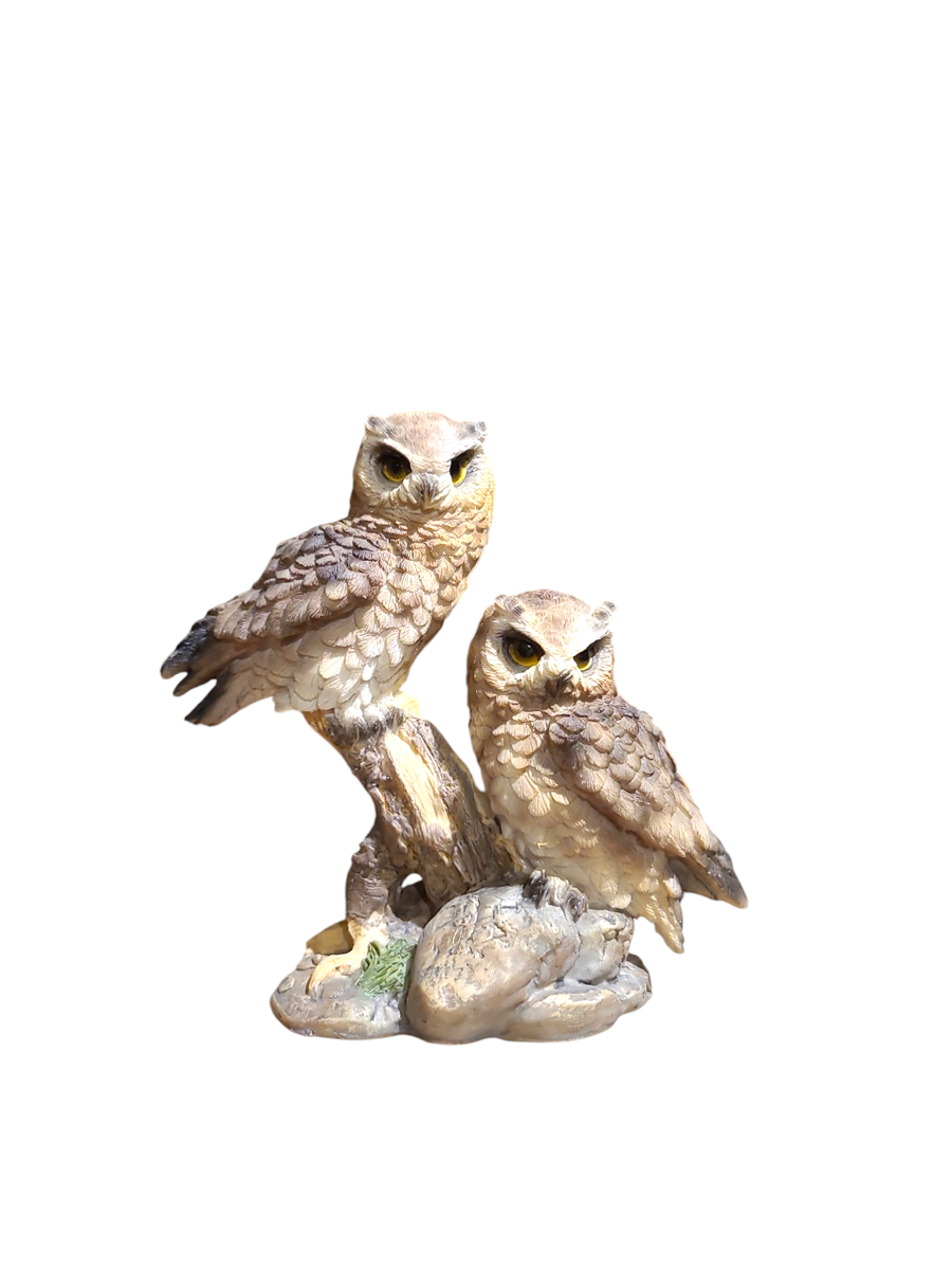Small Pair Of Great Horned Owls