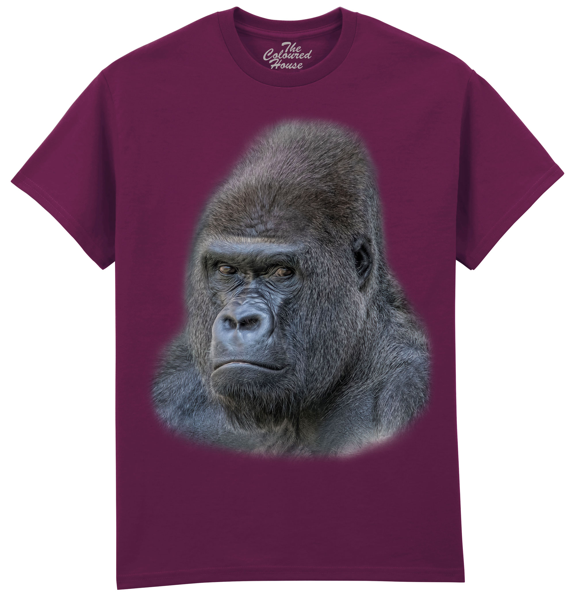 The Boss - Gorilla The Boss - Gorilla