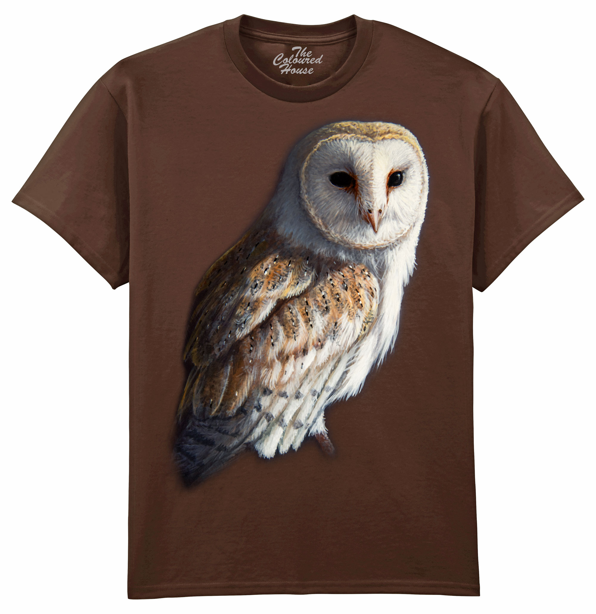 Barn Owl