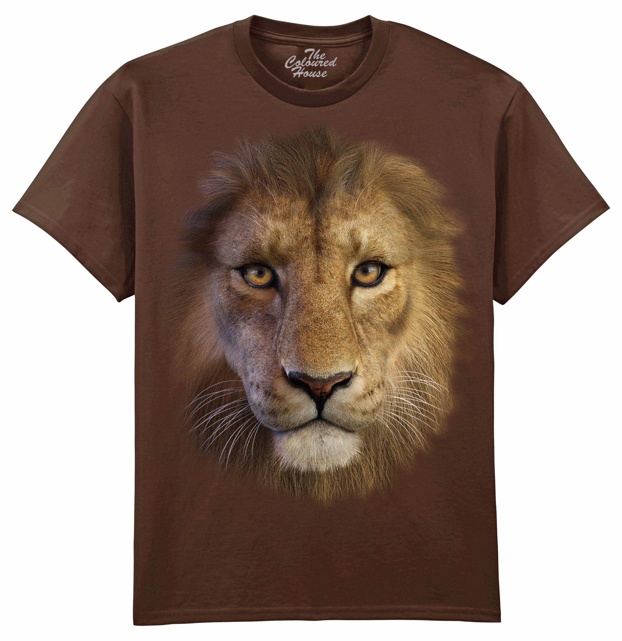 Tsaro - Lion 