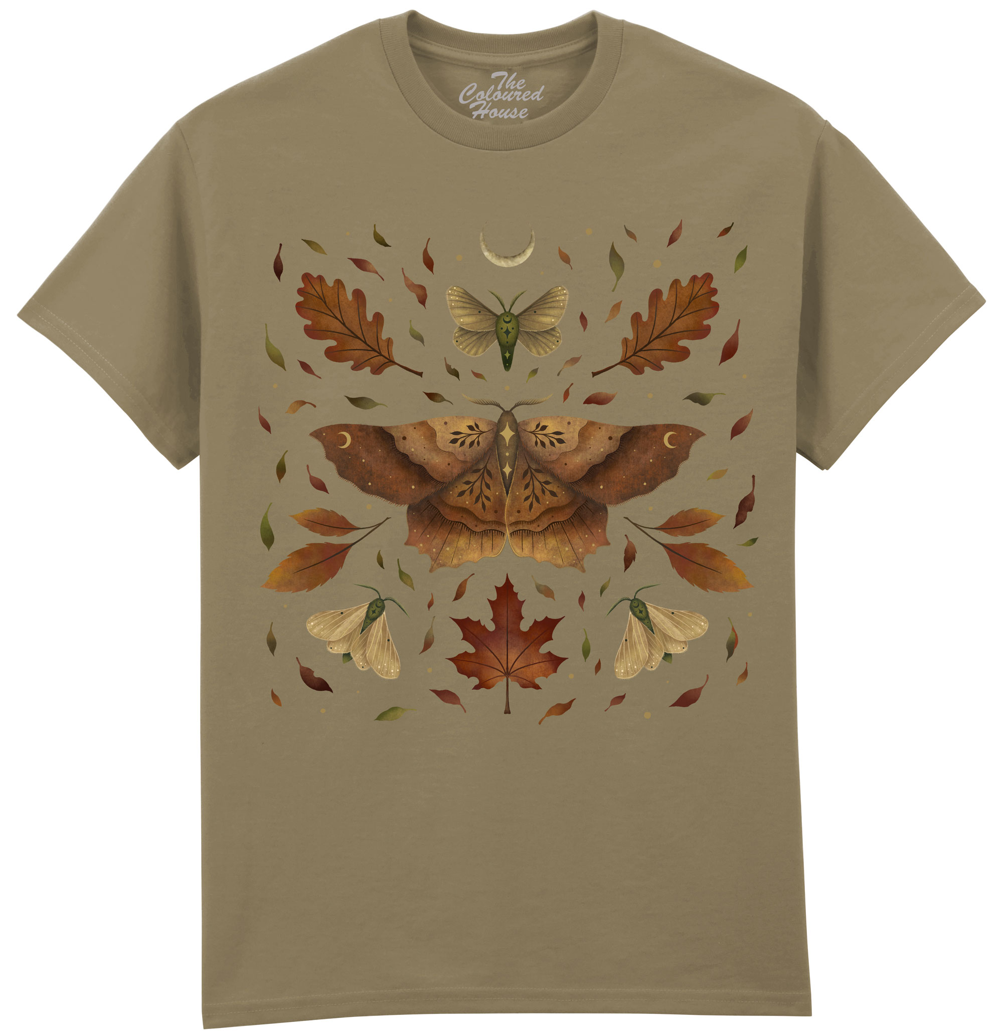 Autumn Moth