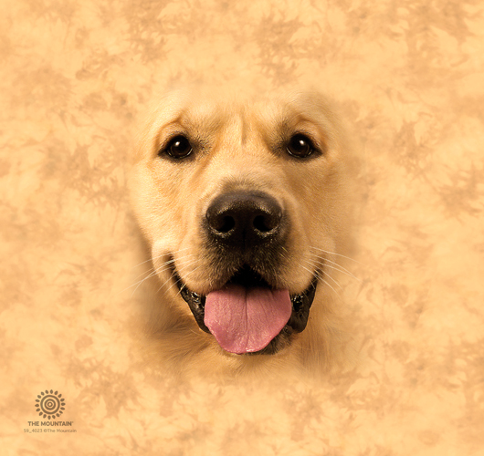 Big Face Golden Tumbler
