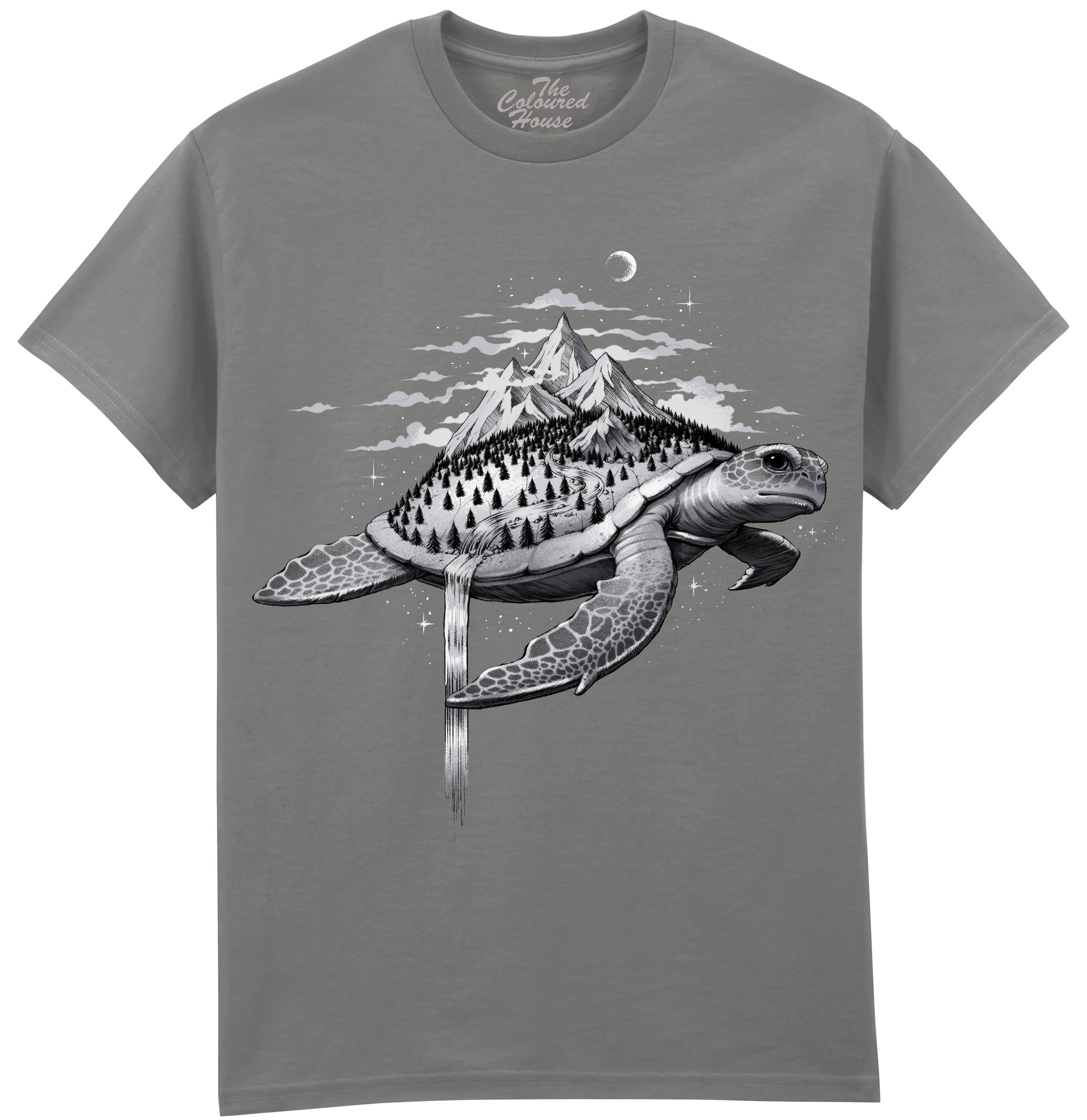 Adventure Turtle