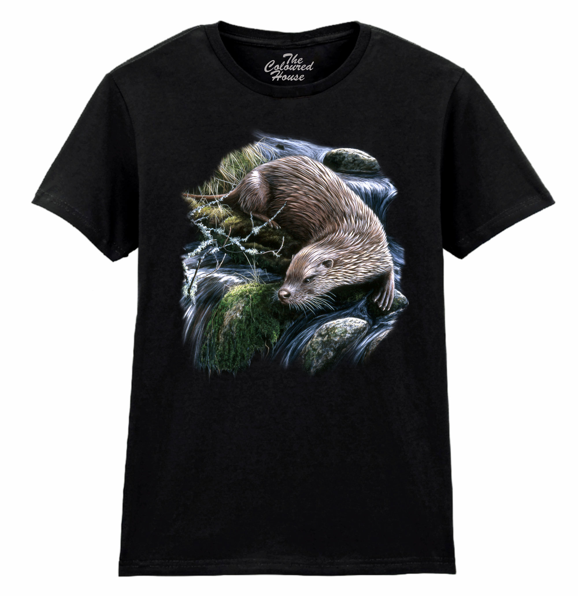 Exploring Otter Ladies T-shirt