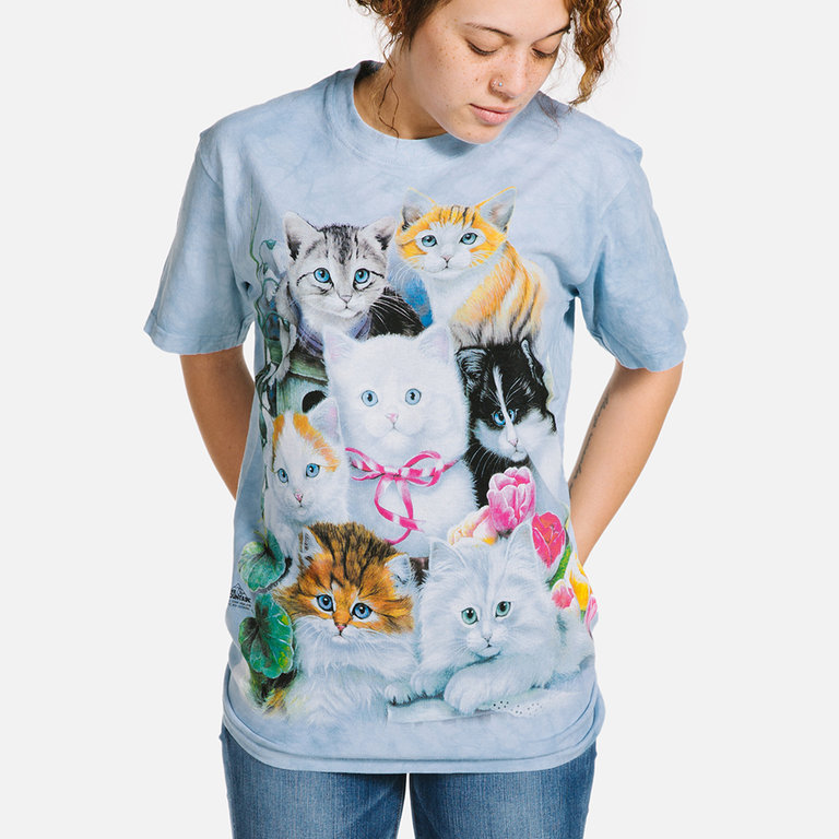 Kittens