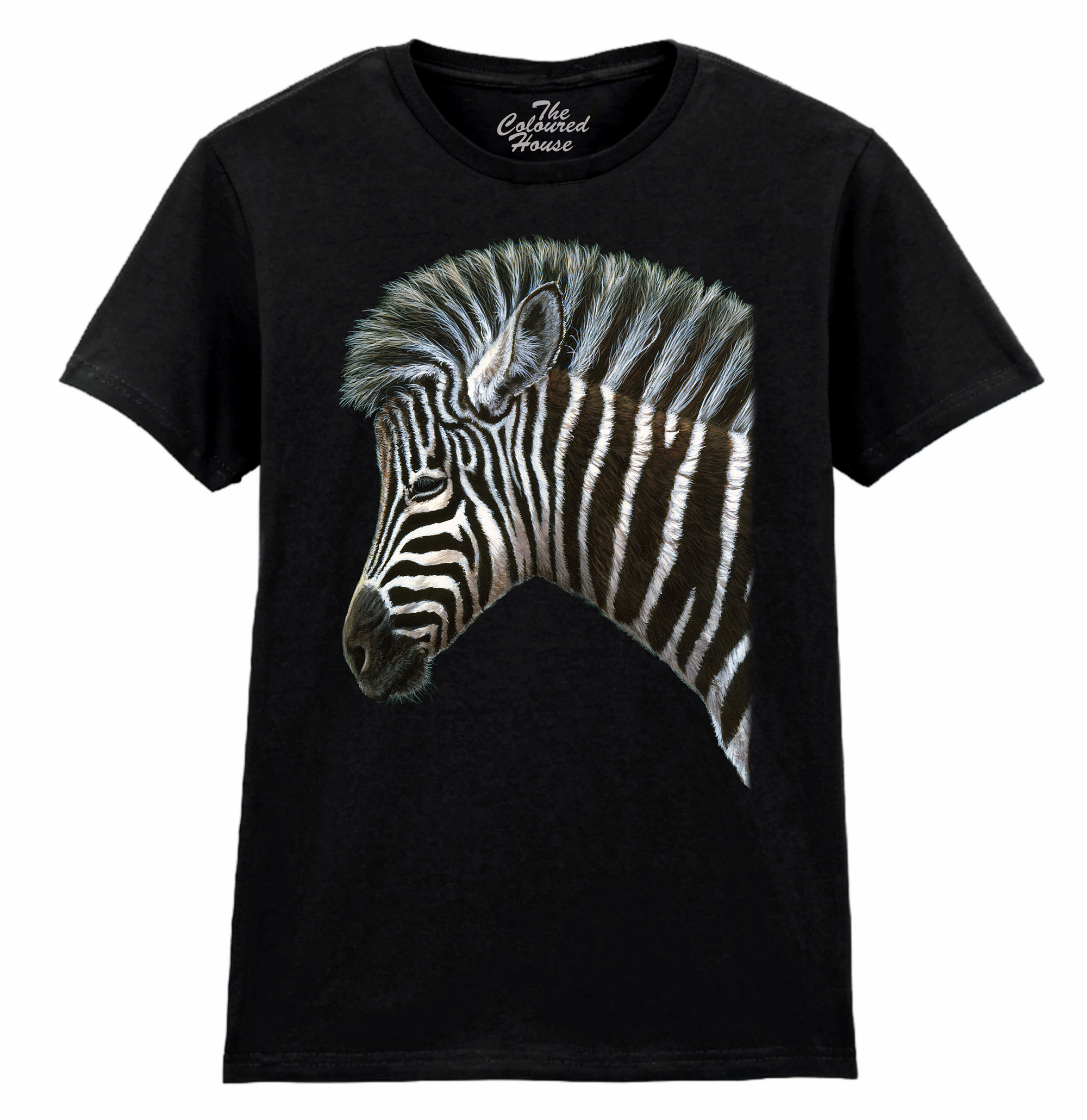 Zebra Foal Ladies T-shirt