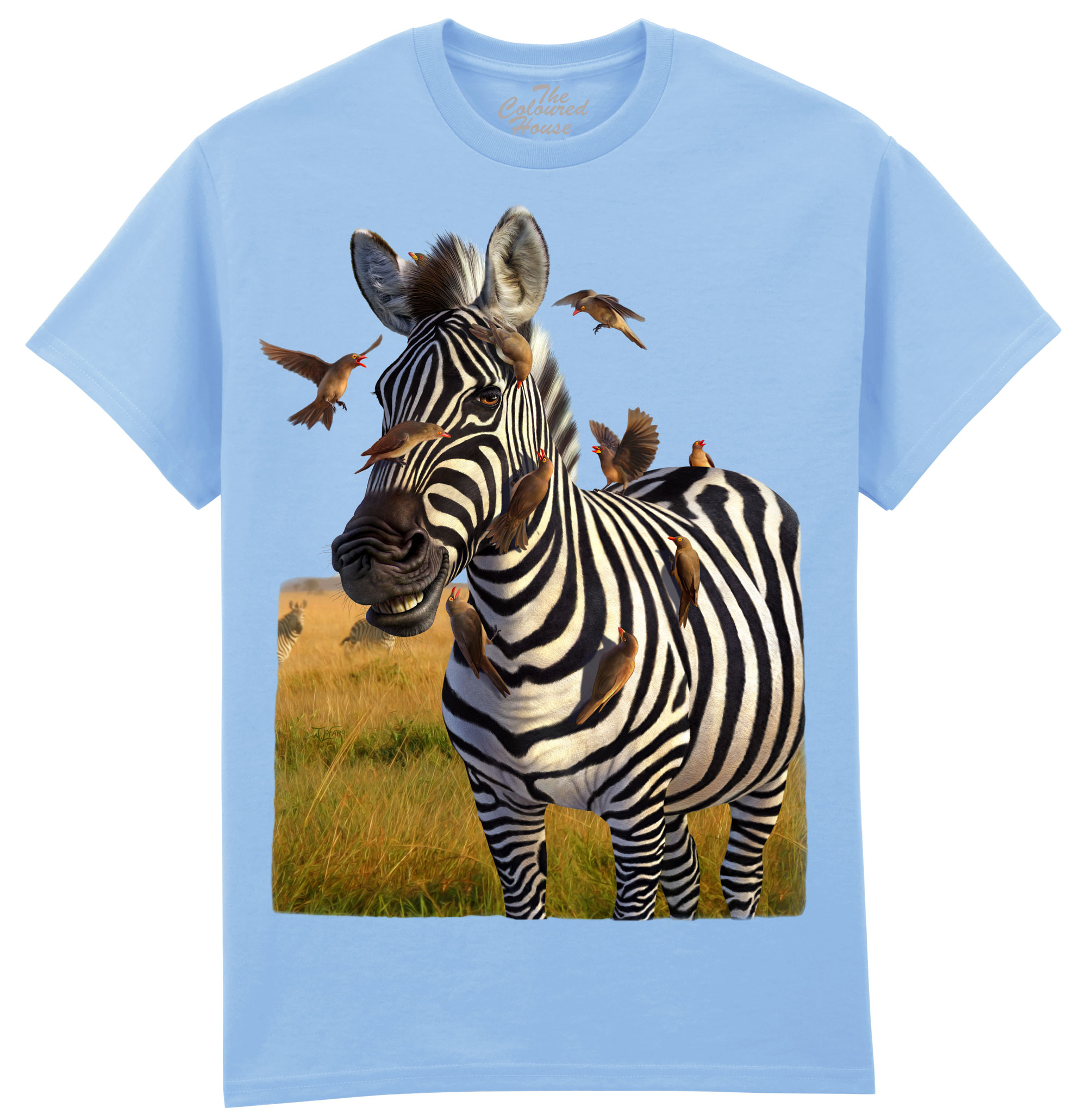 Jailbird - Zebra
