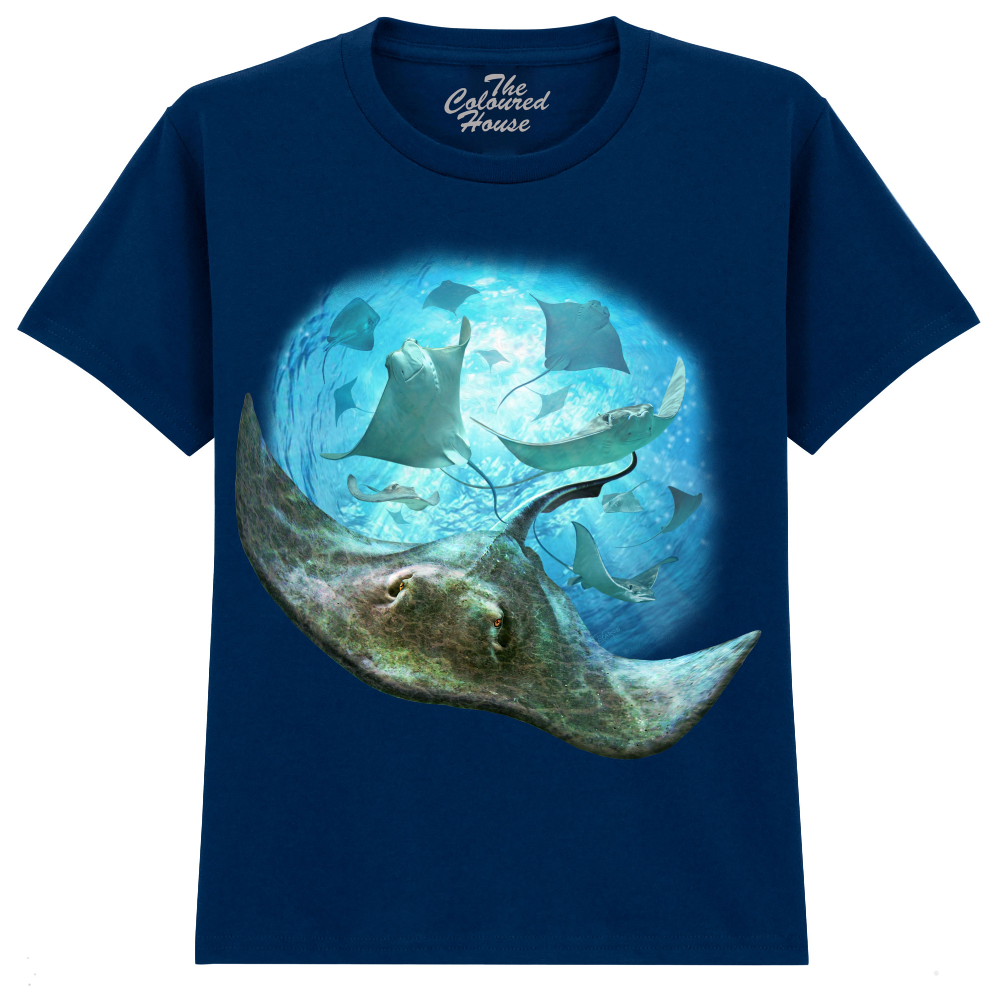 School Of Stingrays KIDS