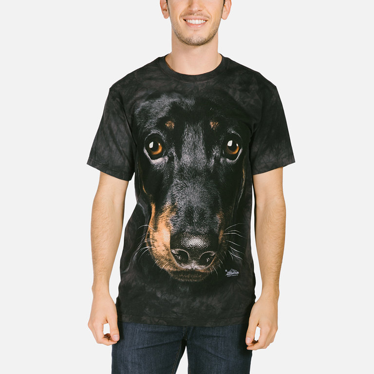 Dachshund Face