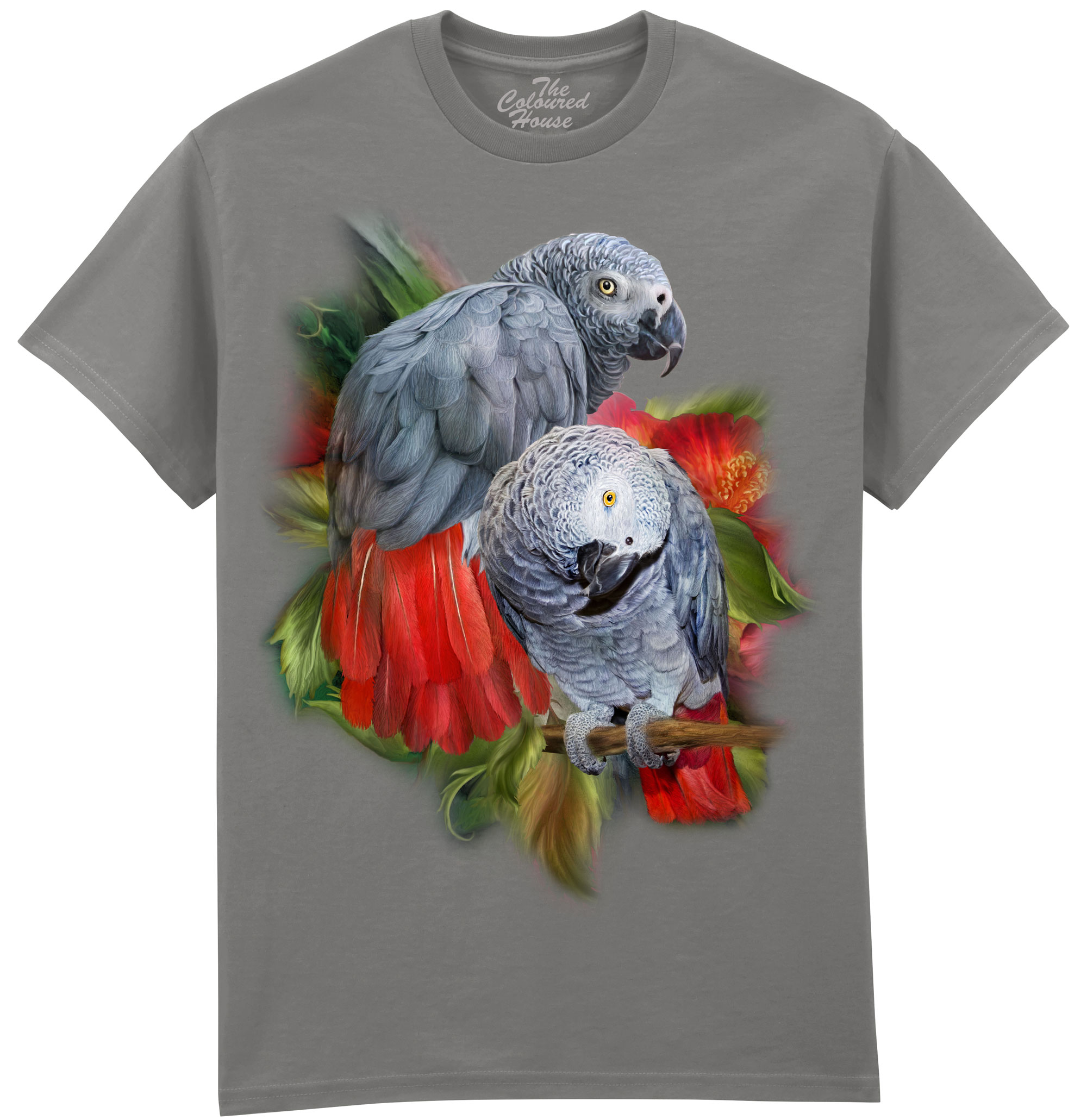 African Greys