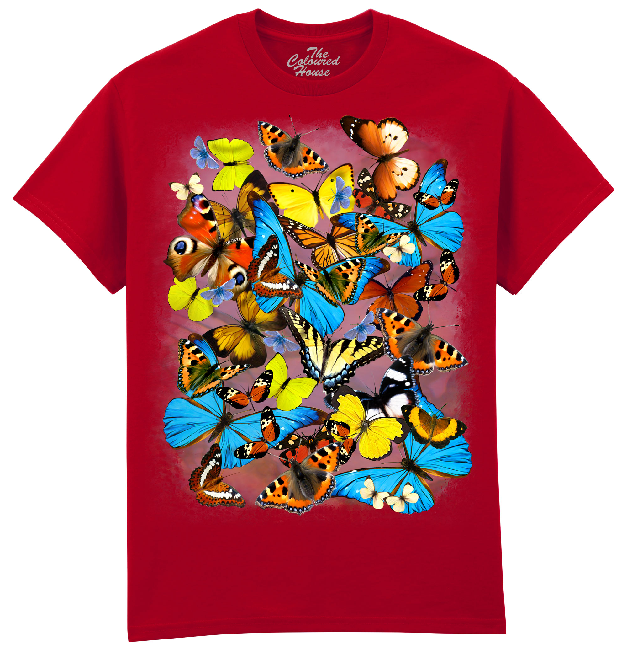 Butterflies Butterflies