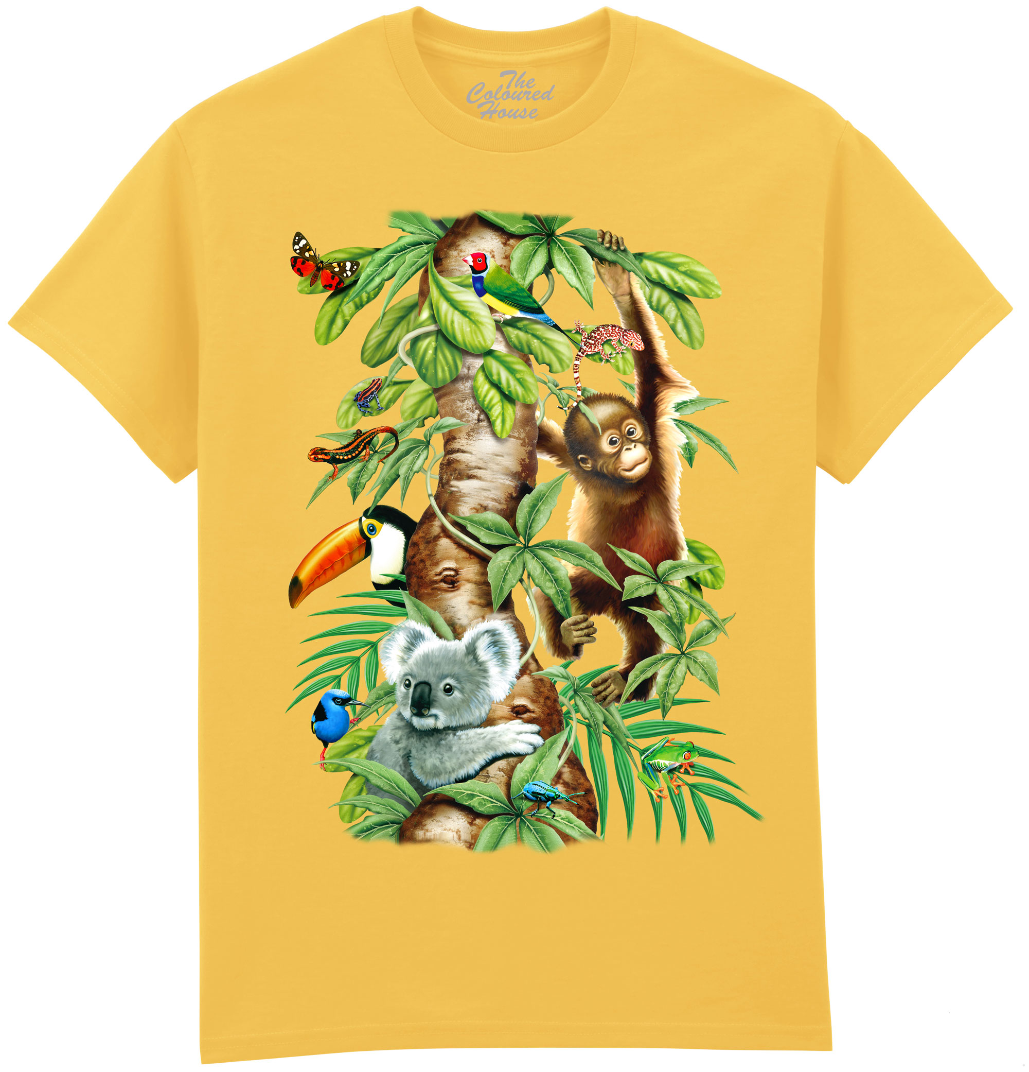 Animals Tree Of Life