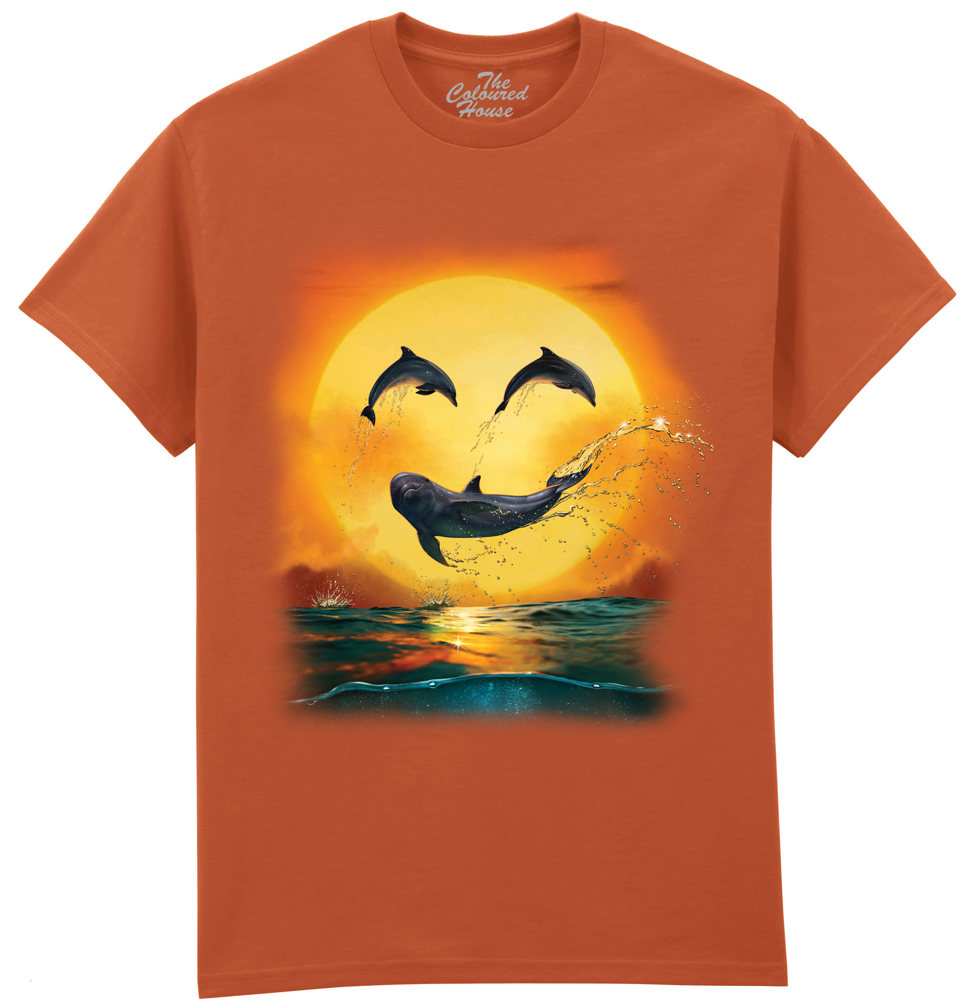 Dolphin Smiley