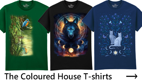 The Coloured House T-shirts