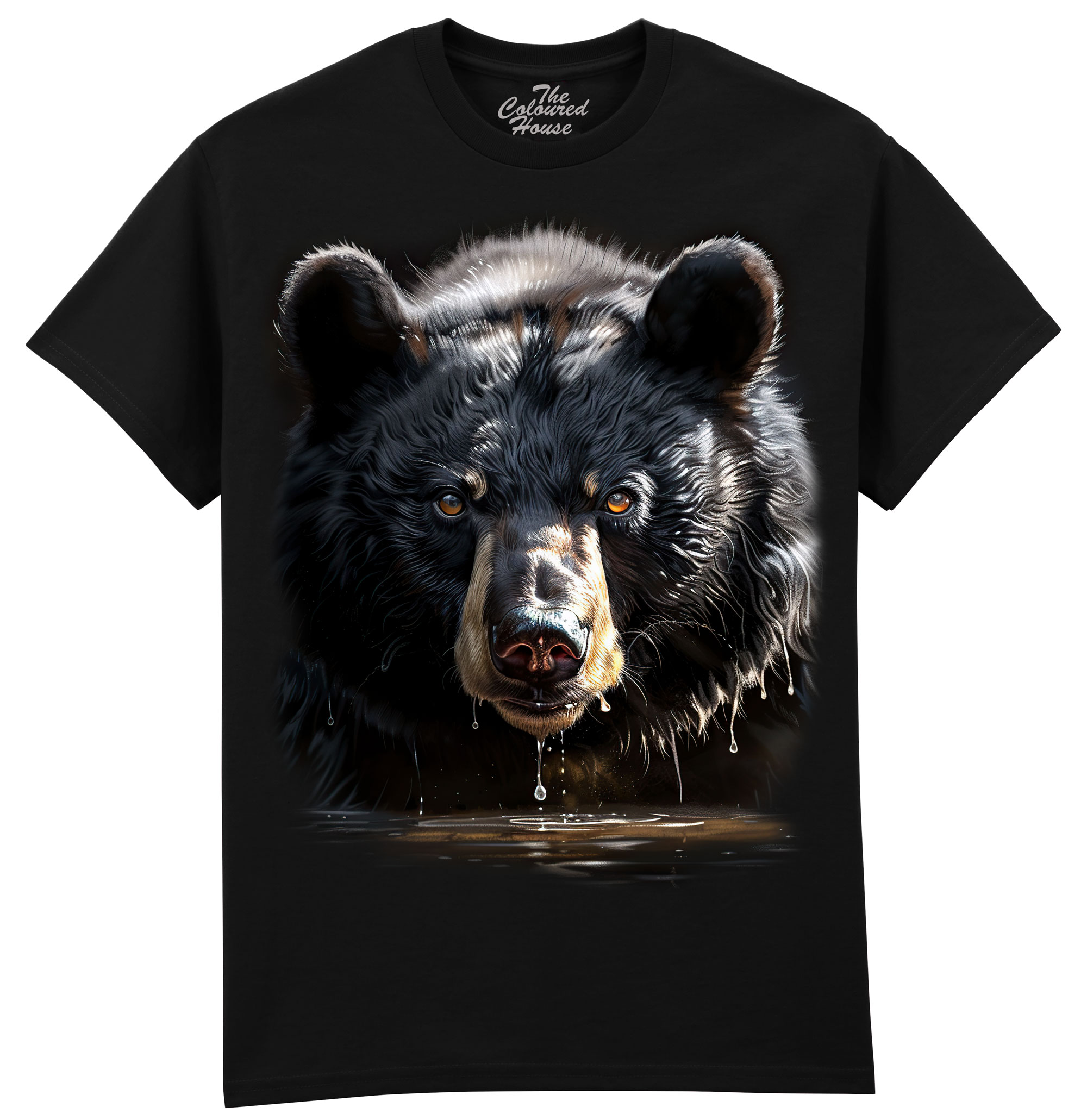 Black Bear In Water