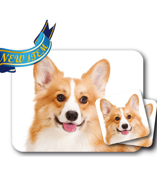 Corgi