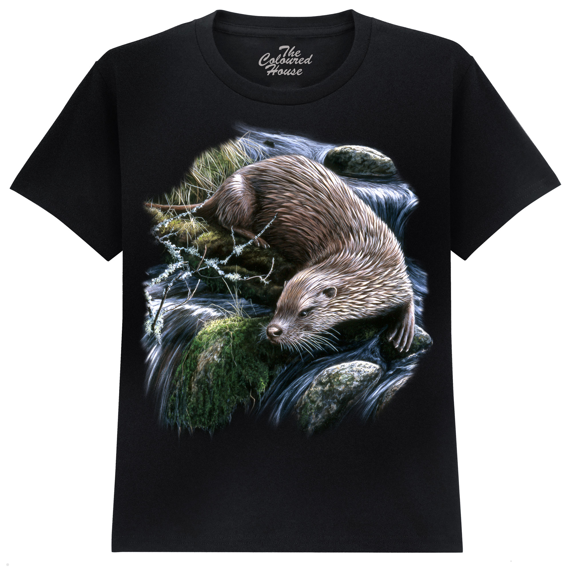 Exploring Otter KIDS