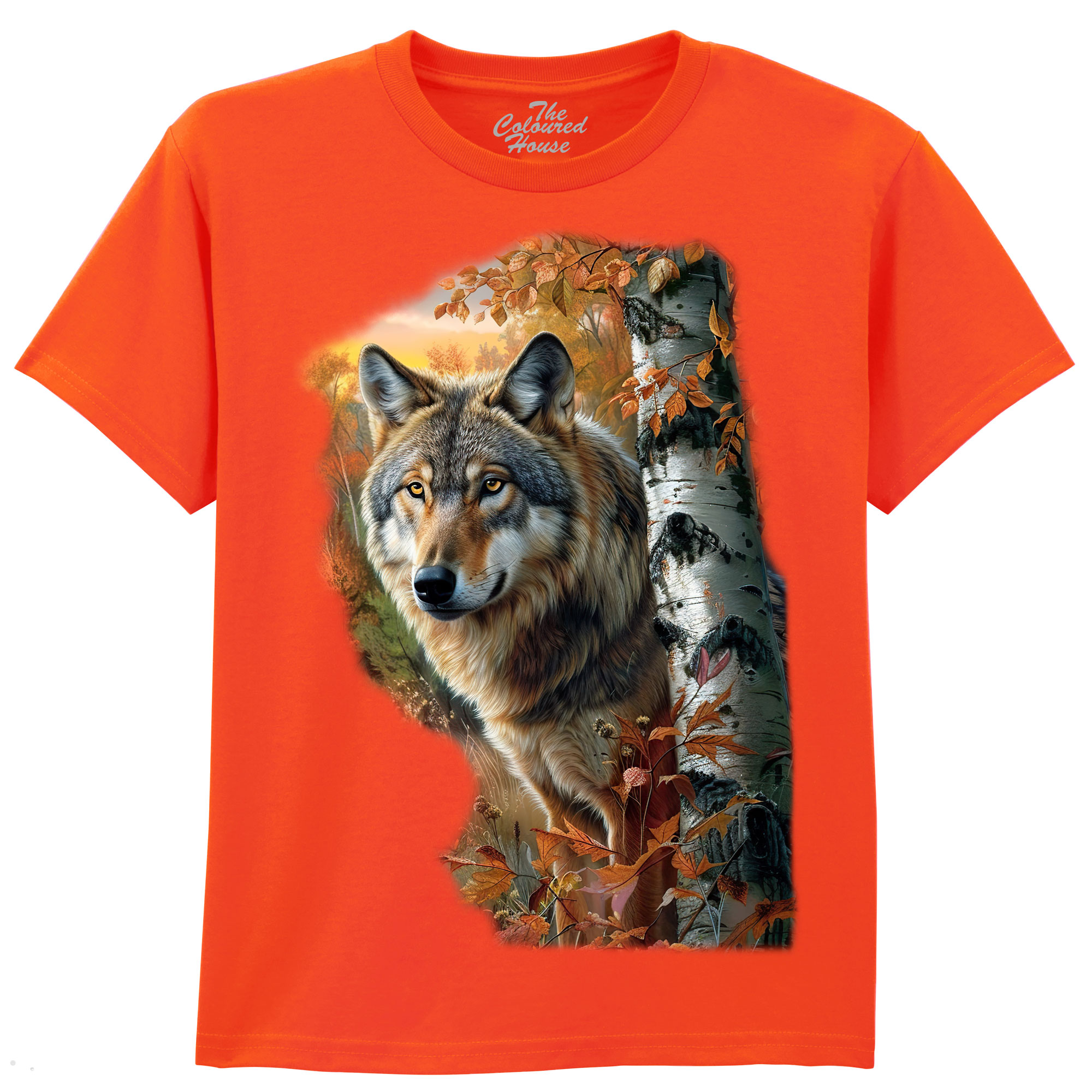 Forest Wolf Portrait KIDS
