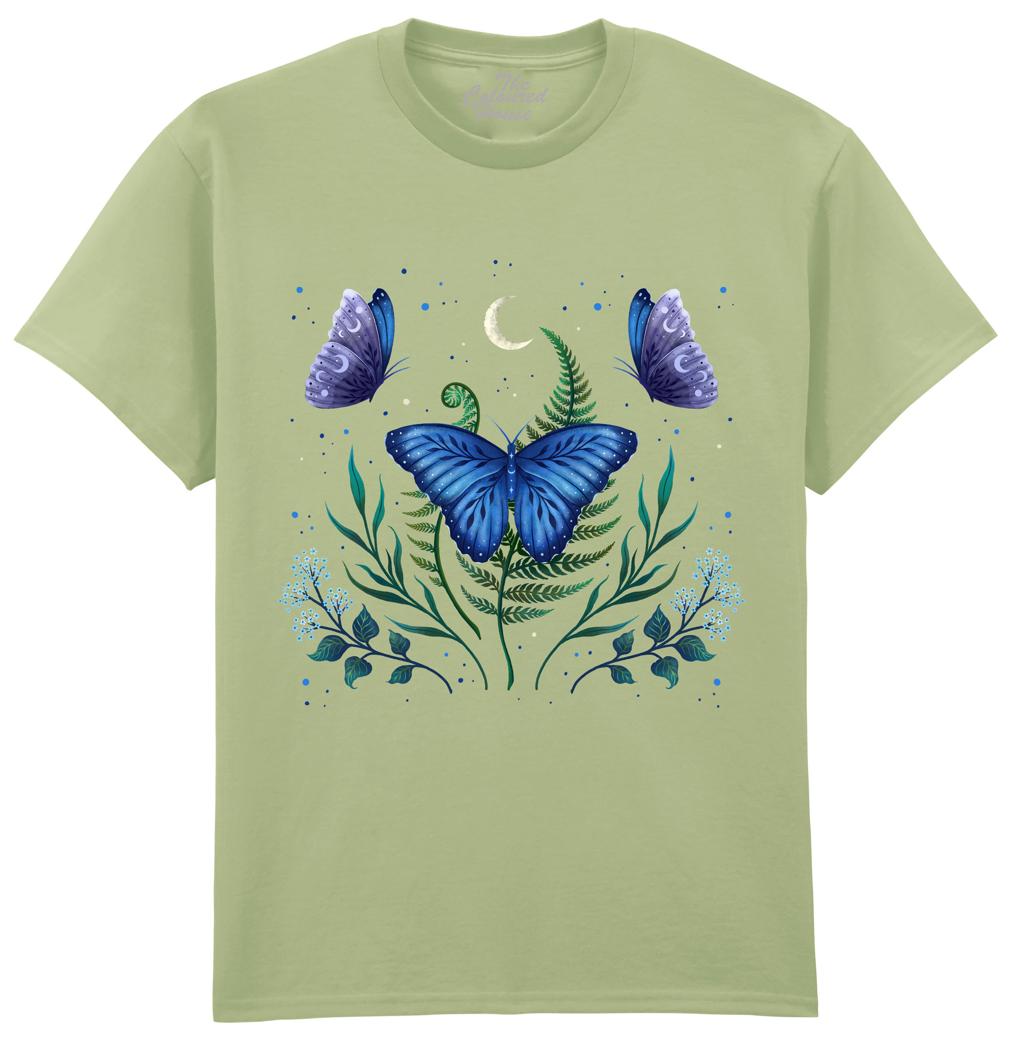 Blue Morpho Butterfly