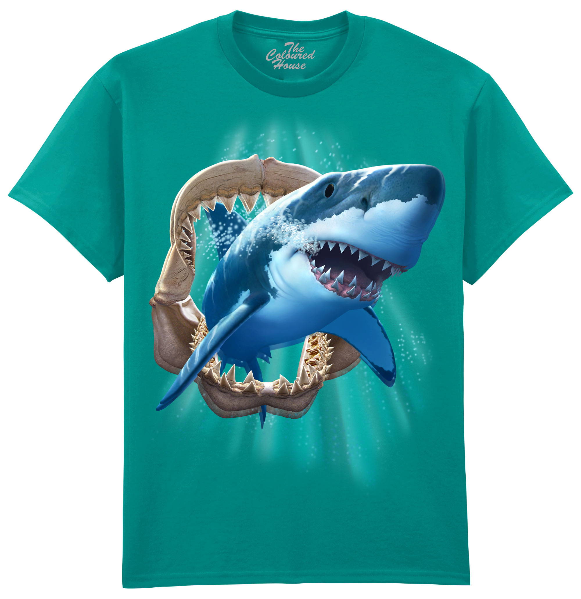 Shark Jaw Shark Jaw