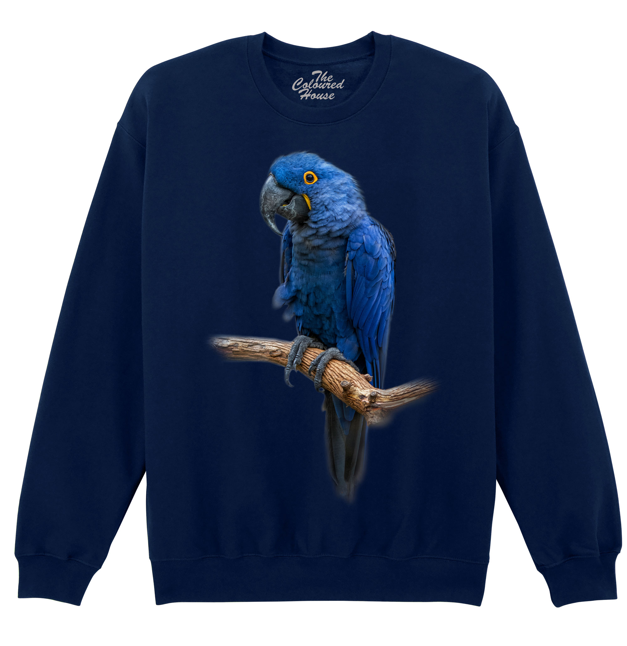 Blue Gem - Macaw Sweater